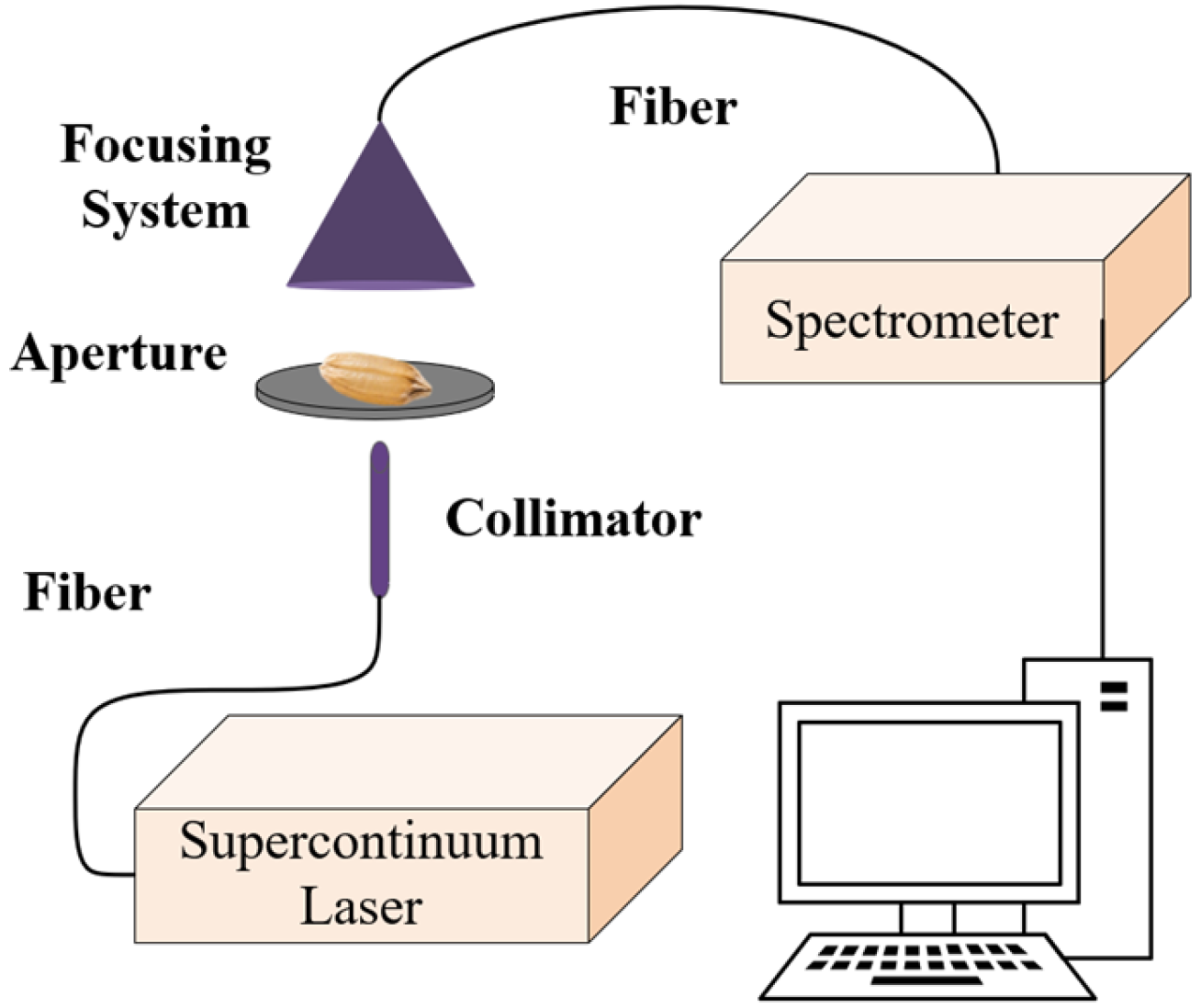 Photonics 13 00228 g001