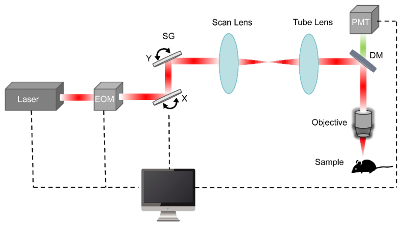 Photonics 13 00519 g001 Photonics 13 00519 g001