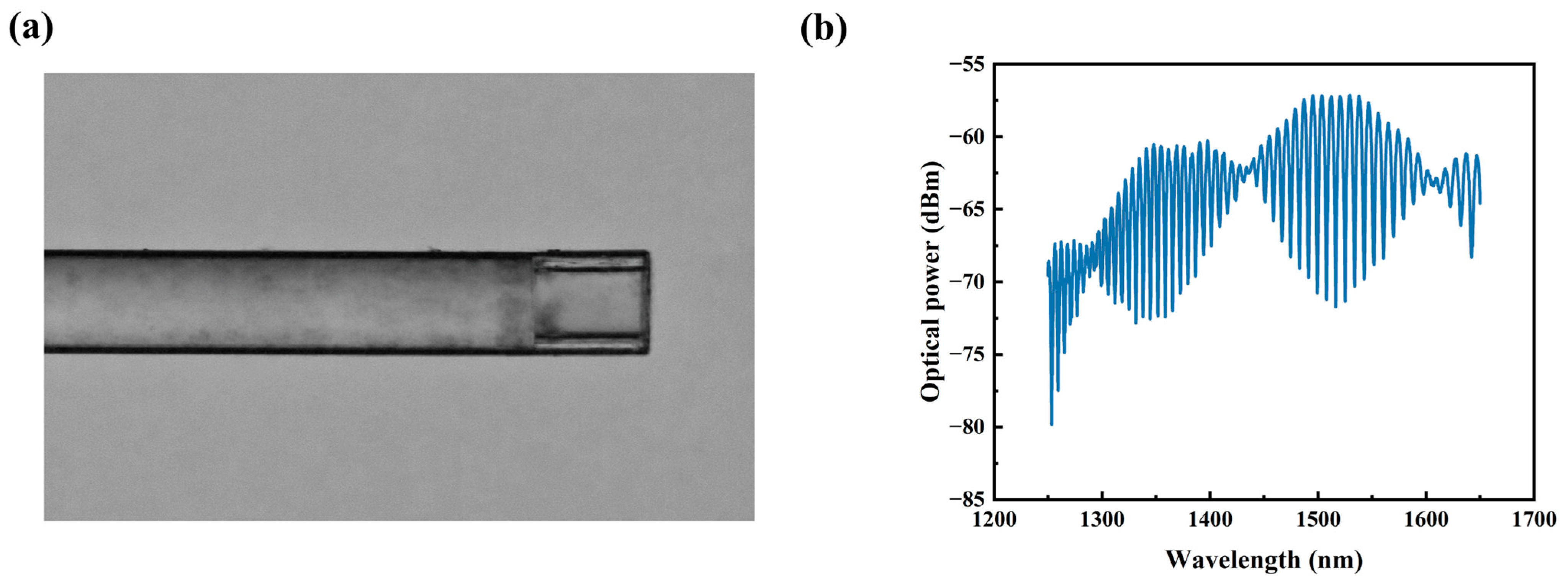 Photonics 13 00590 g002 Photonics 13 00590 g002