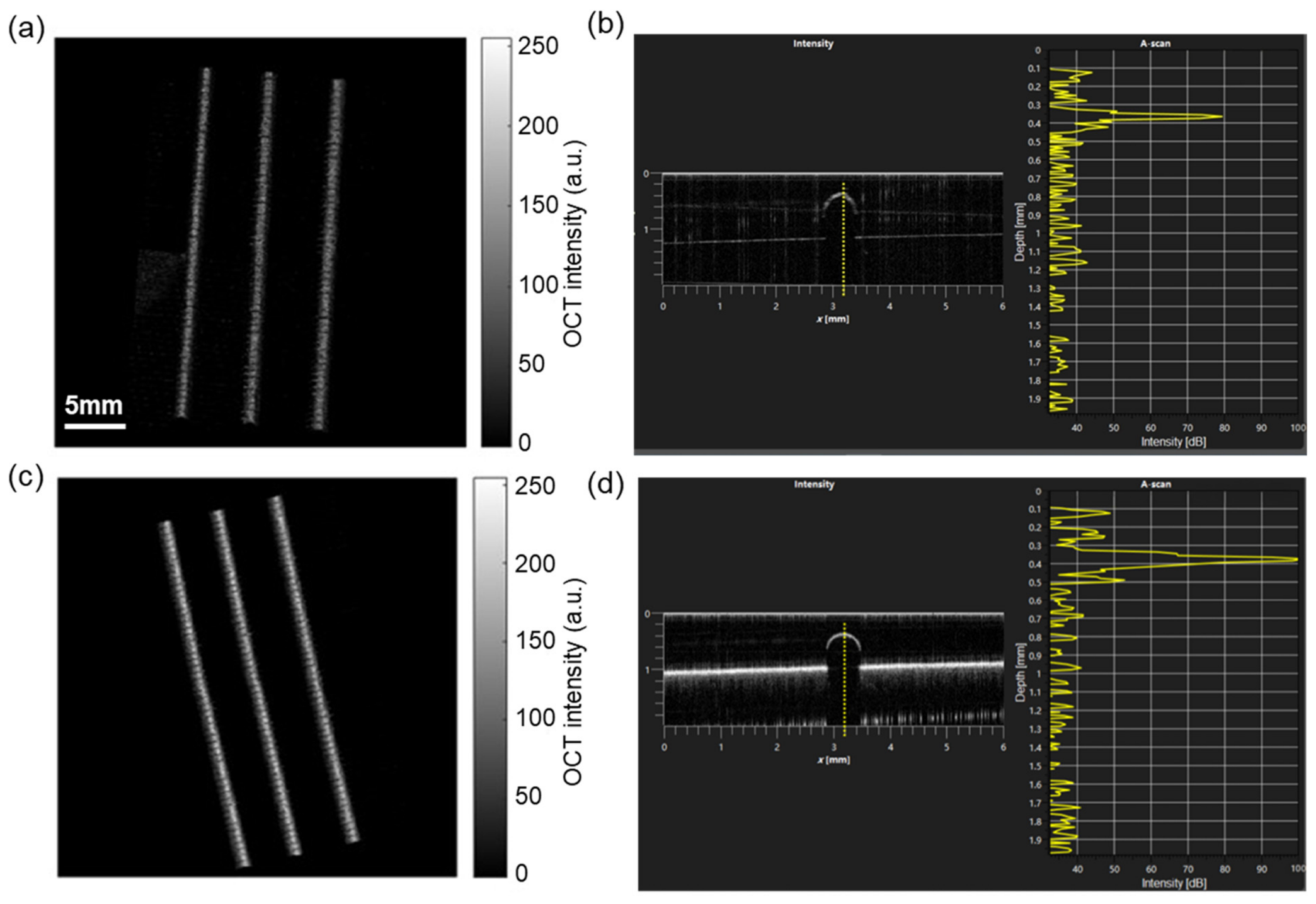 Photonics 13 00788 g002 Photonics 13 00788 g002