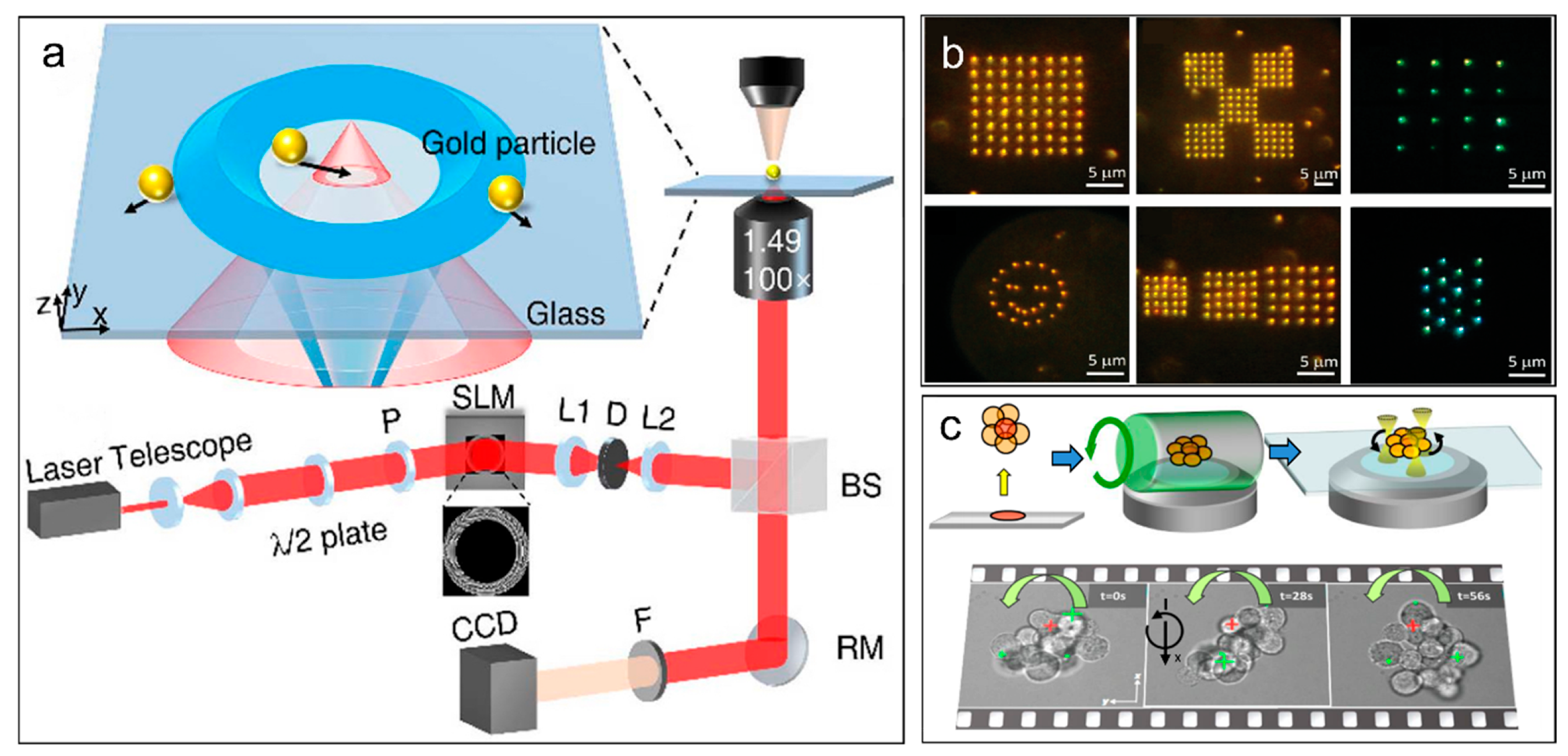 Photonics 13 00827 g002 Photonics 13 00827 g002