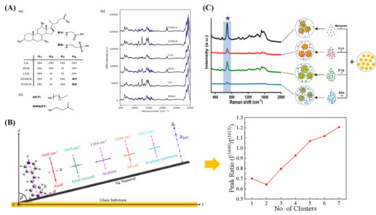 Photonics 13 00838 g002