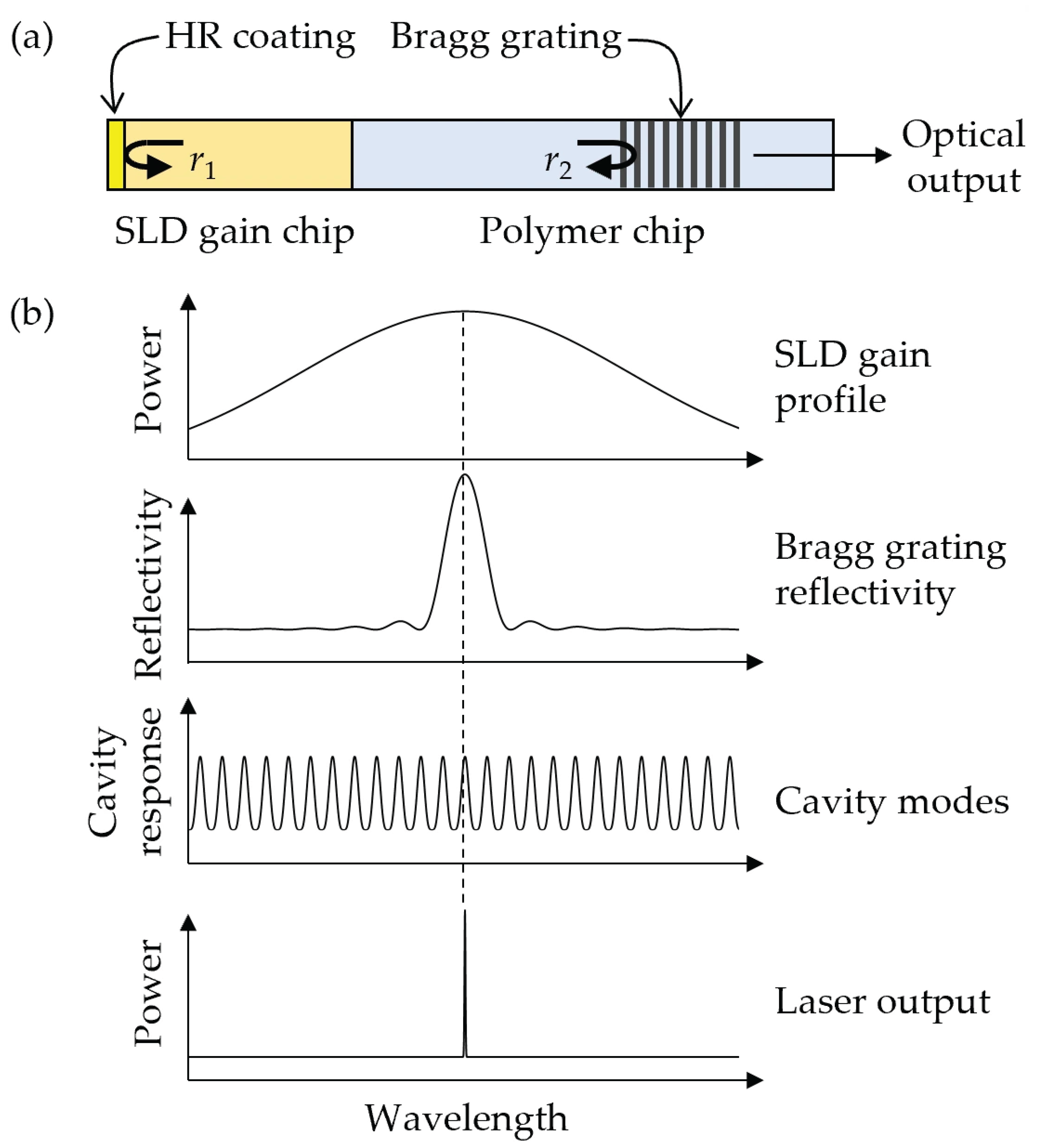 Photonics 13 00871 g002
