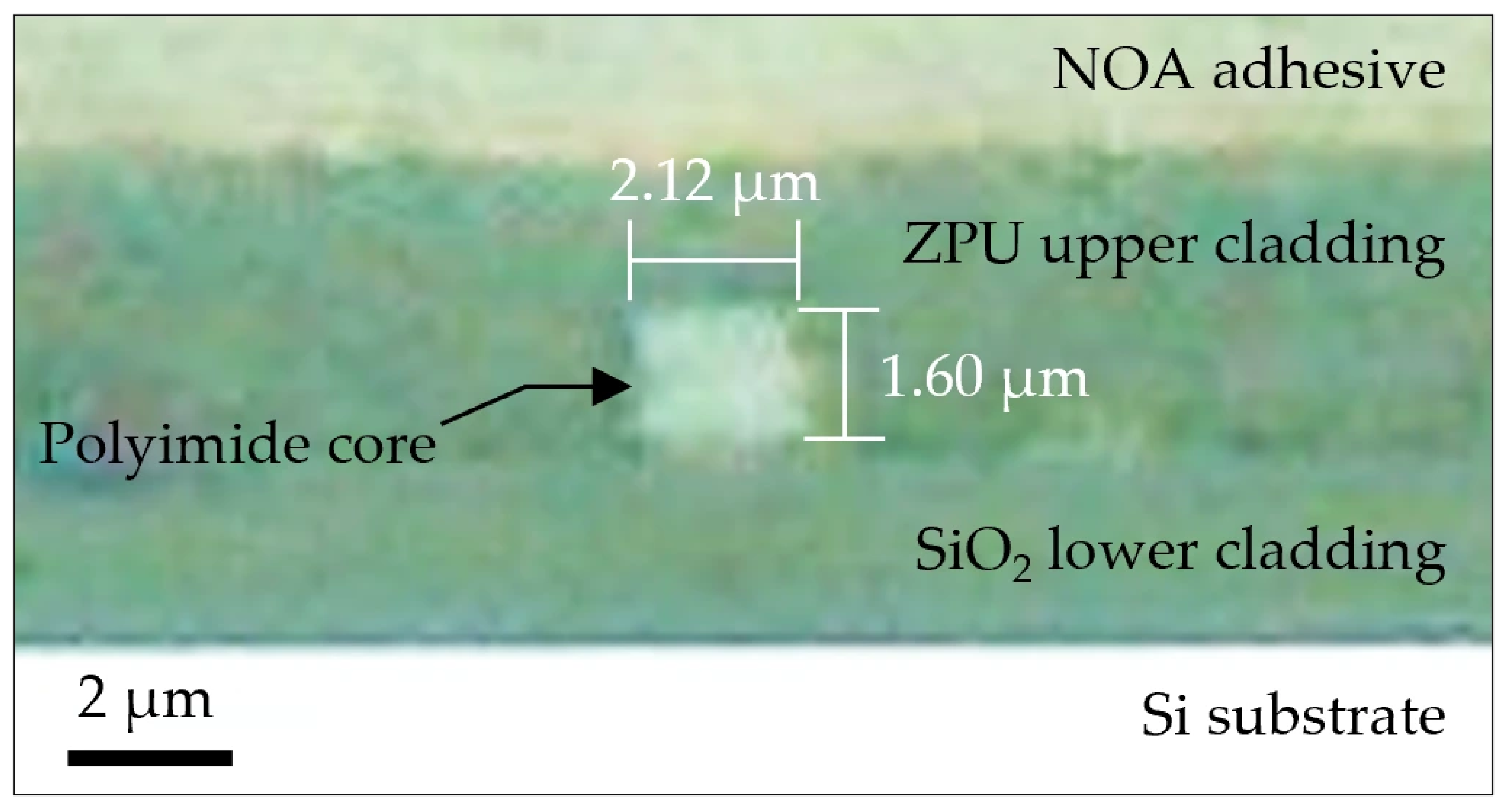 Photonics 13 00871 g008