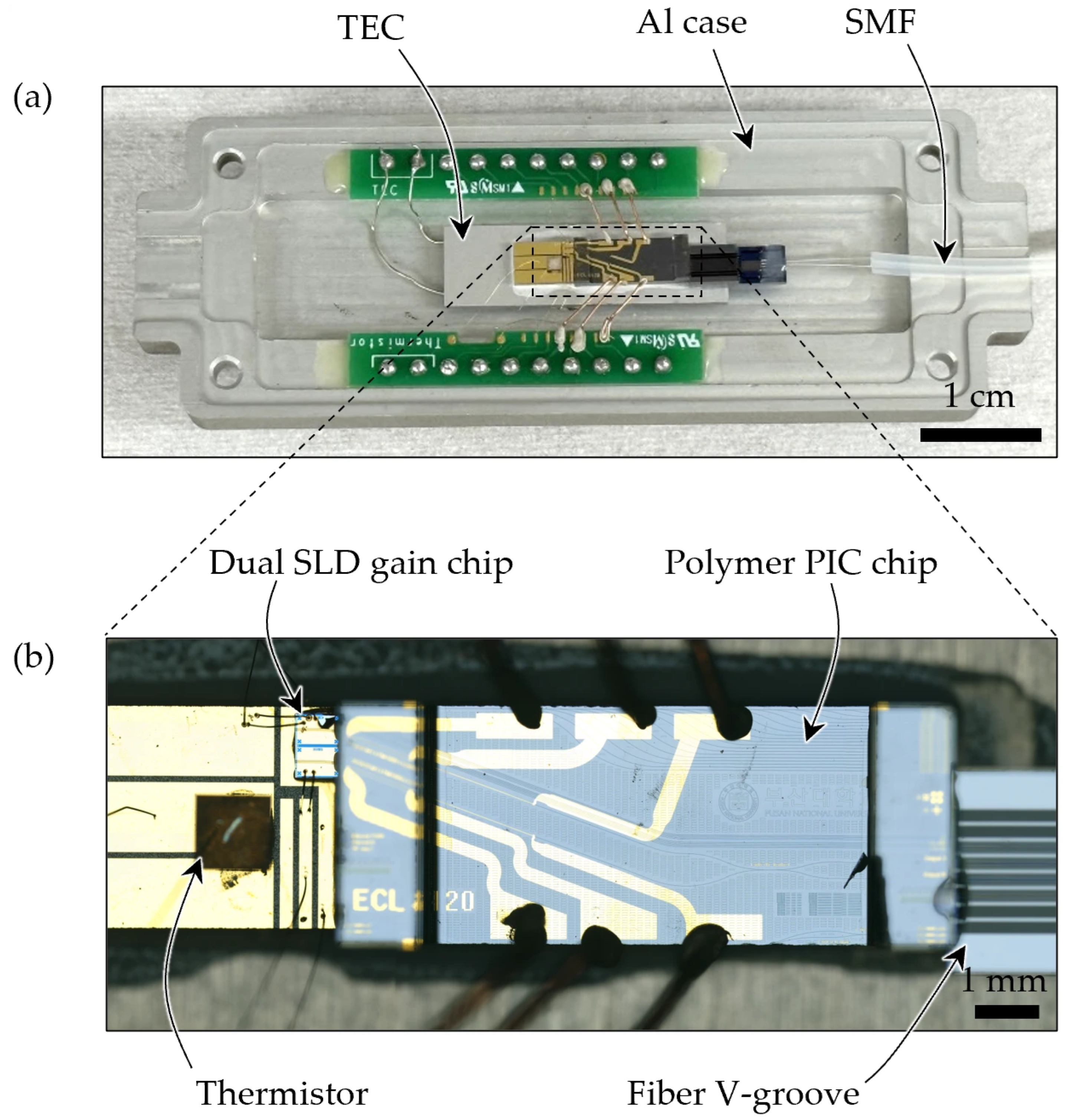 Photonics 13 00871 g011