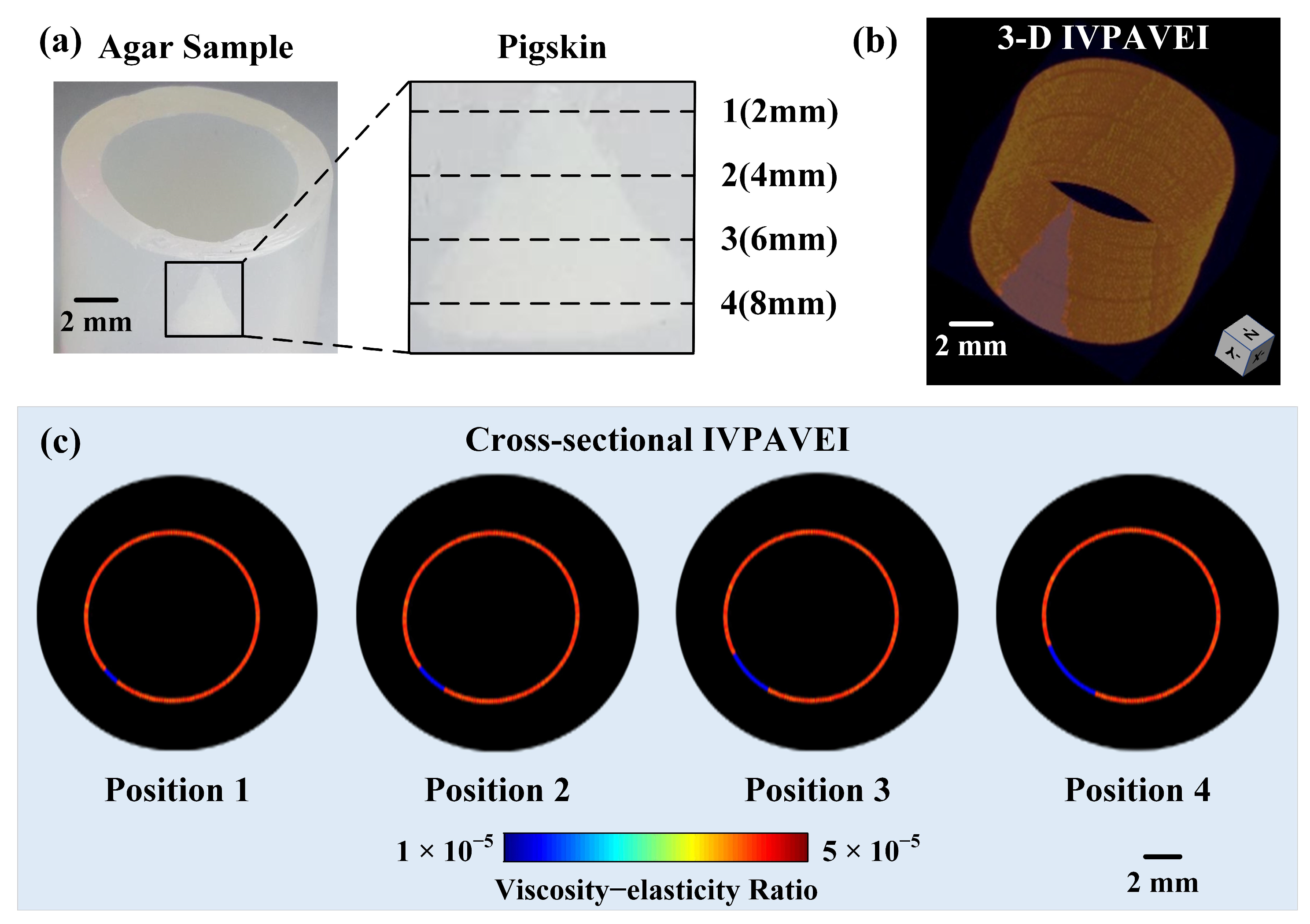 Photonics 13 00887 g005 Photonics 13 00887 g005