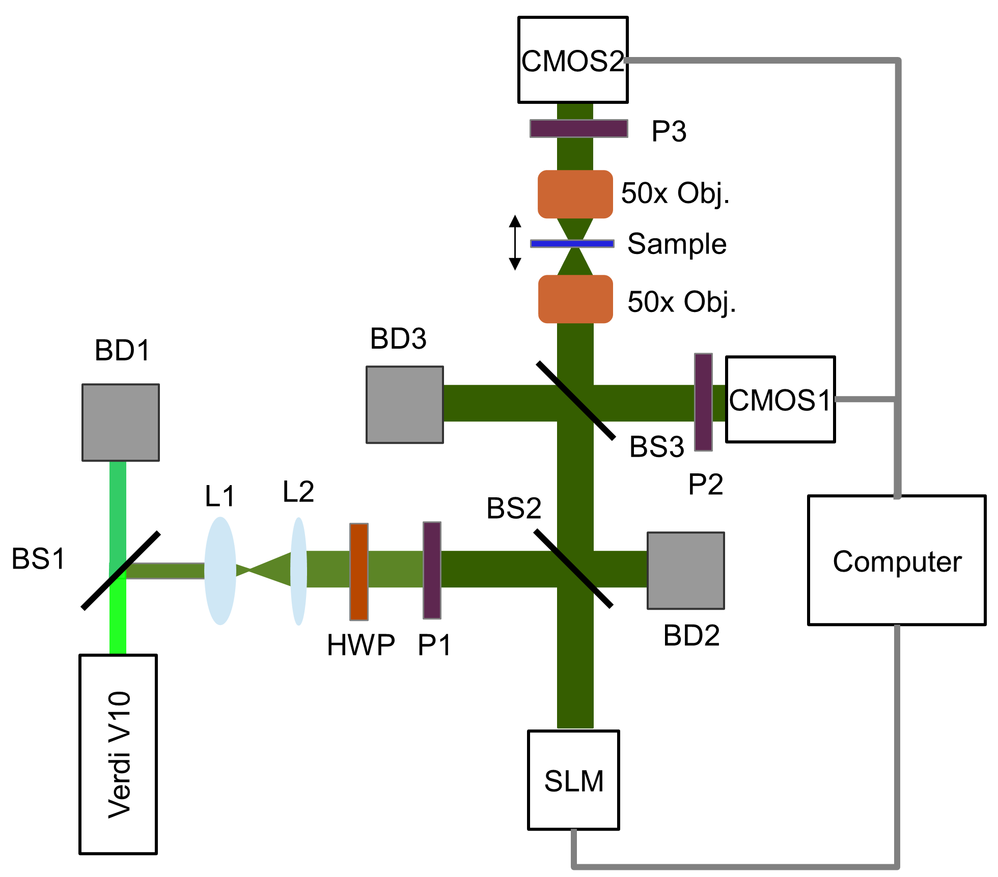 Scattering Length-Dependent Optimization of Transmission and Reflection ...