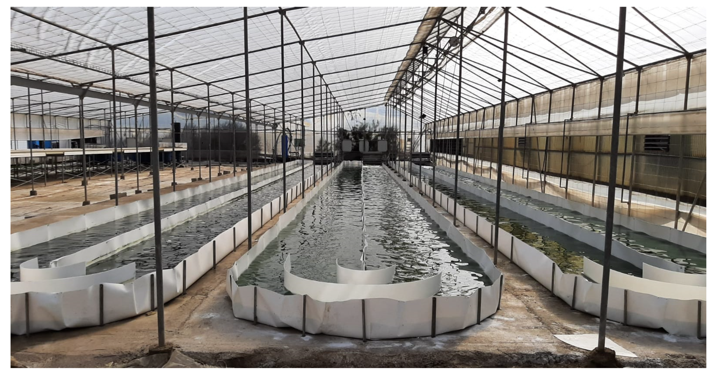 Phycology 02 00005 g001