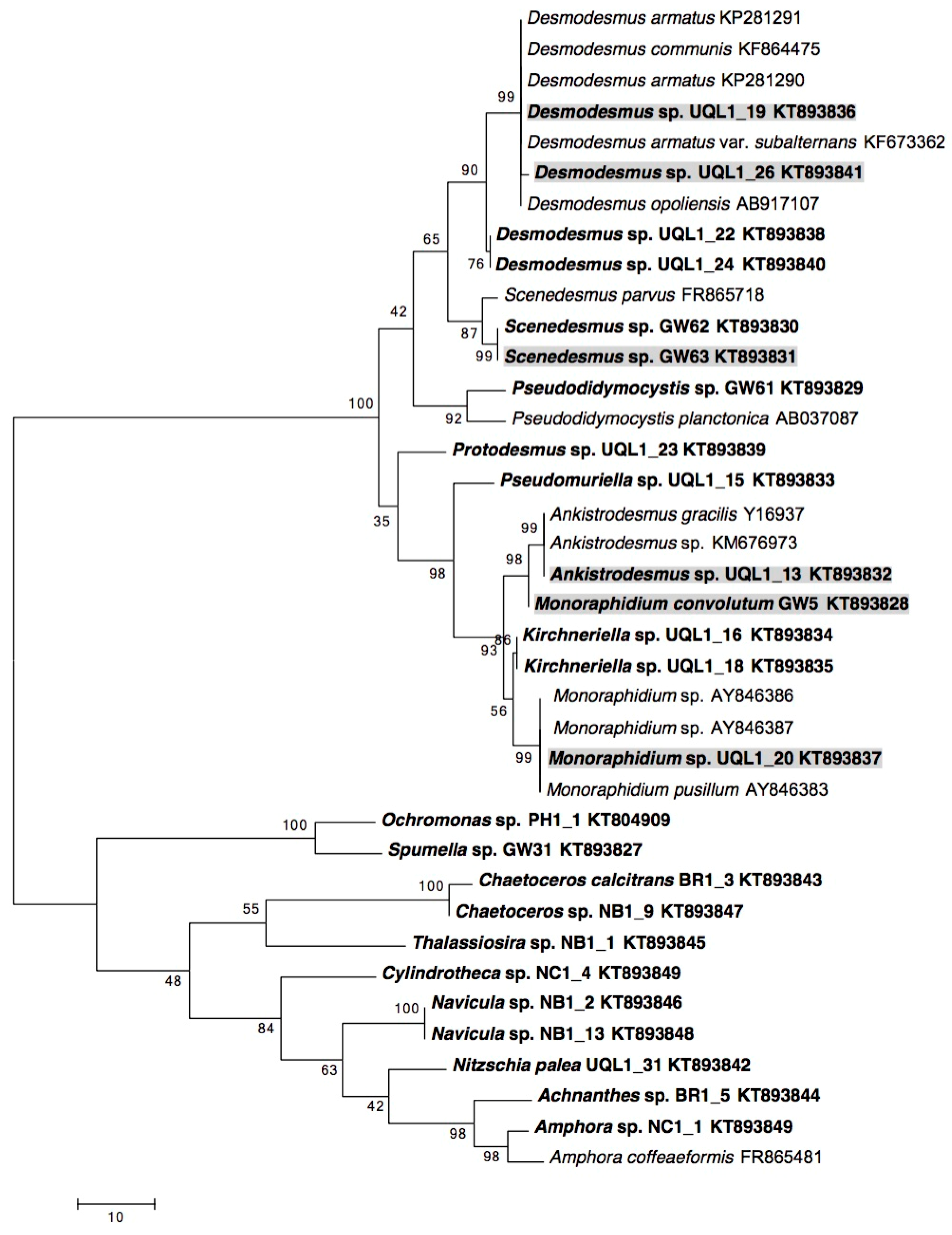 Phycology 02 00006 g001