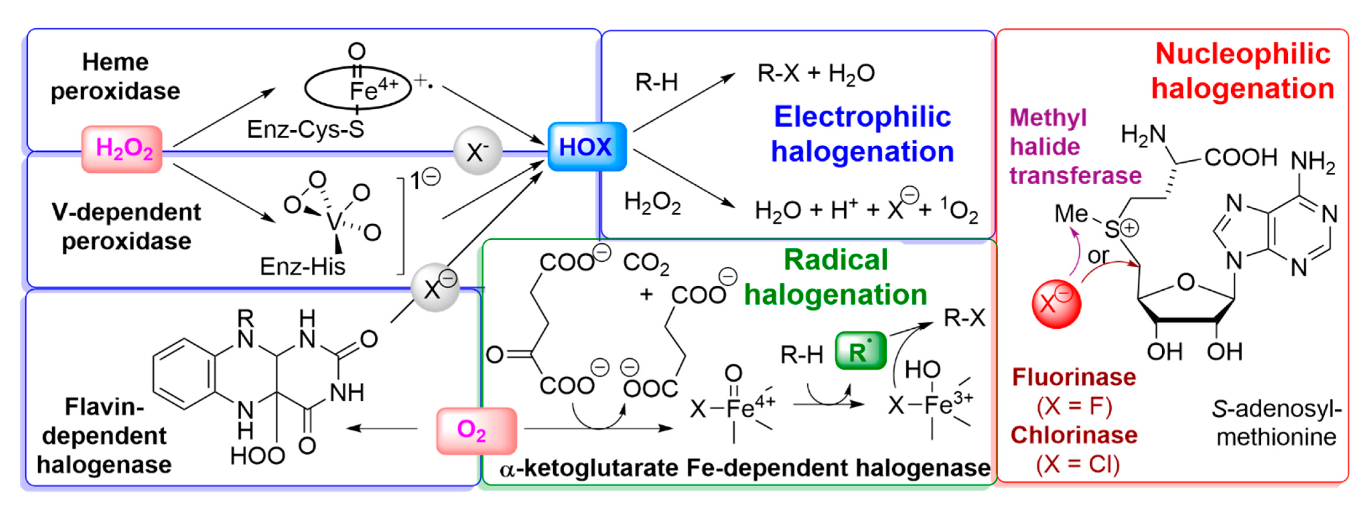 Phycology 02 00009 g002 Phycology 02 00009 g002