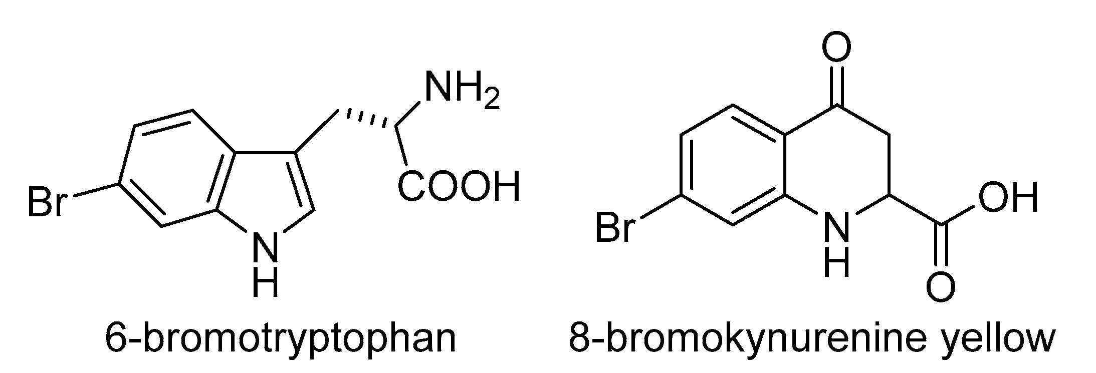Phycology 02 00009 g003 Phycology 02 00009 g003