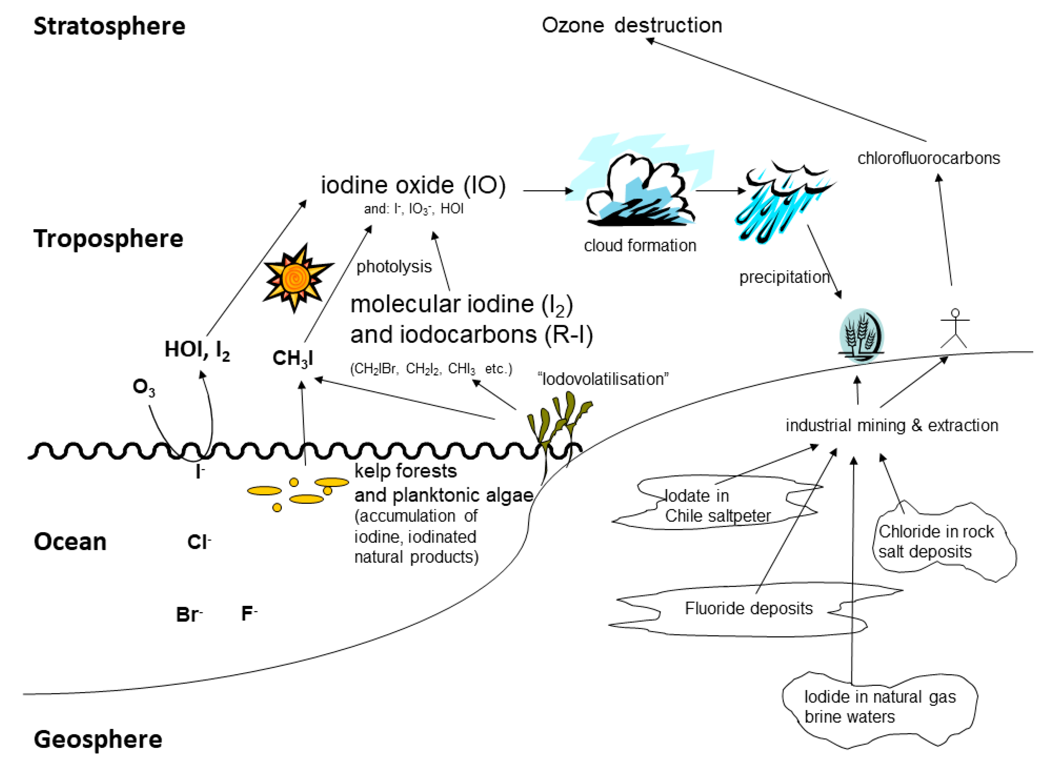 Phycology 02 00009 g004 Phycology 02 00009 g004