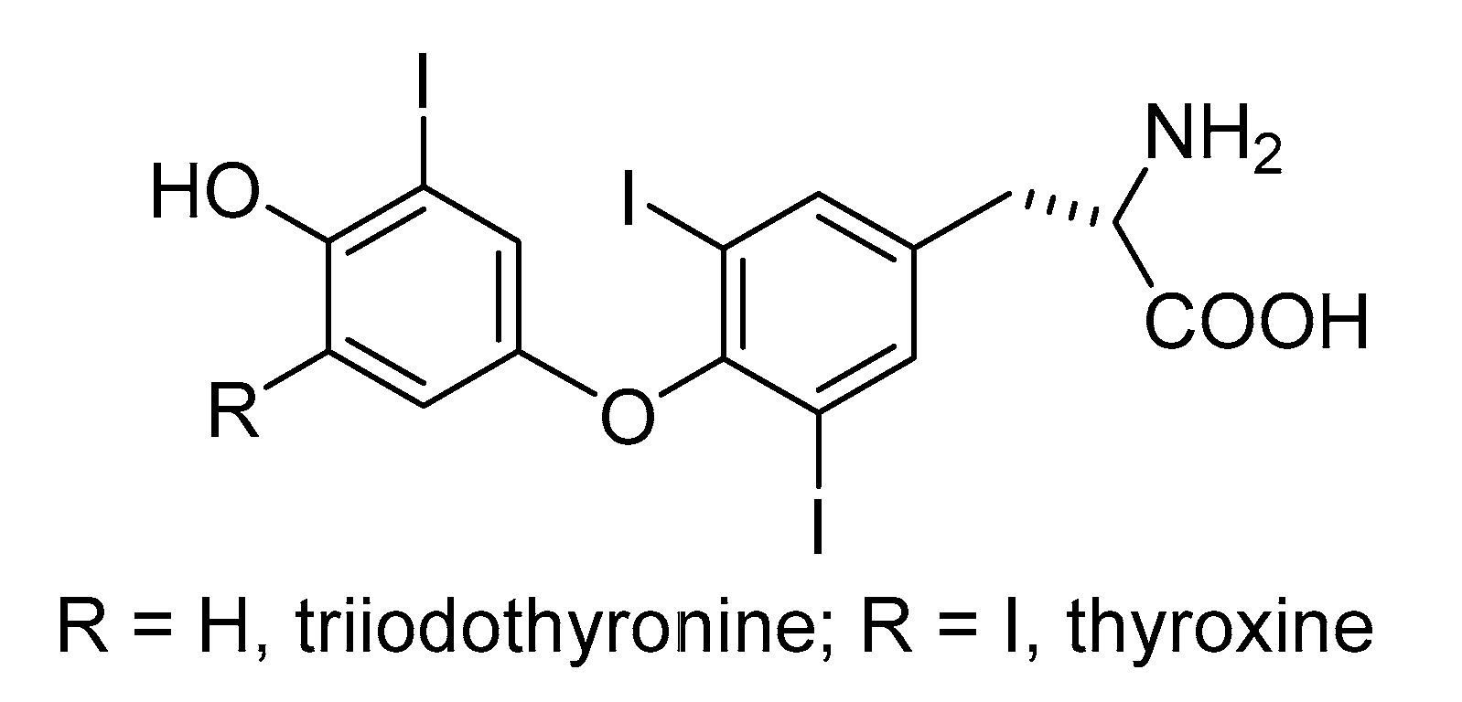 Phycology 02 00009 g005 Phycology 02 00009 g005