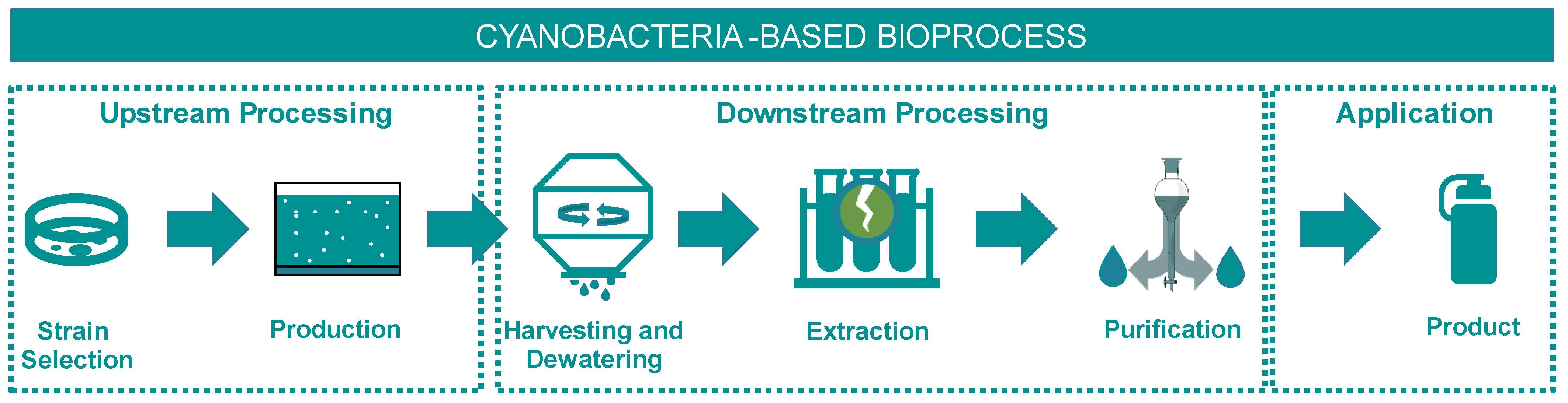 Phycology 03 00004 g001