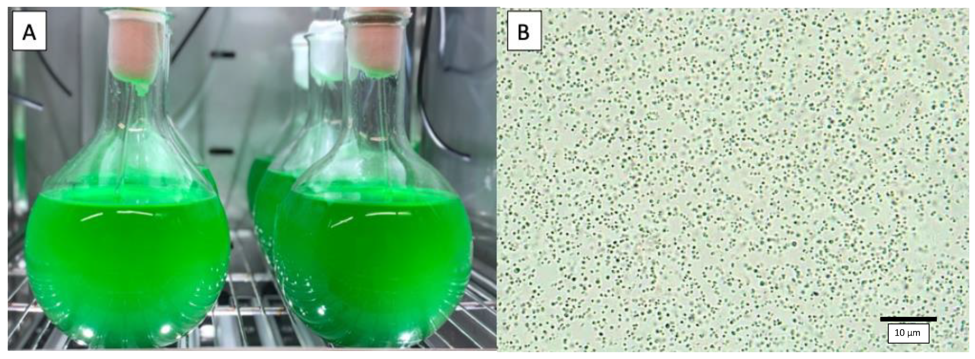 Phycology 03 00004 g002