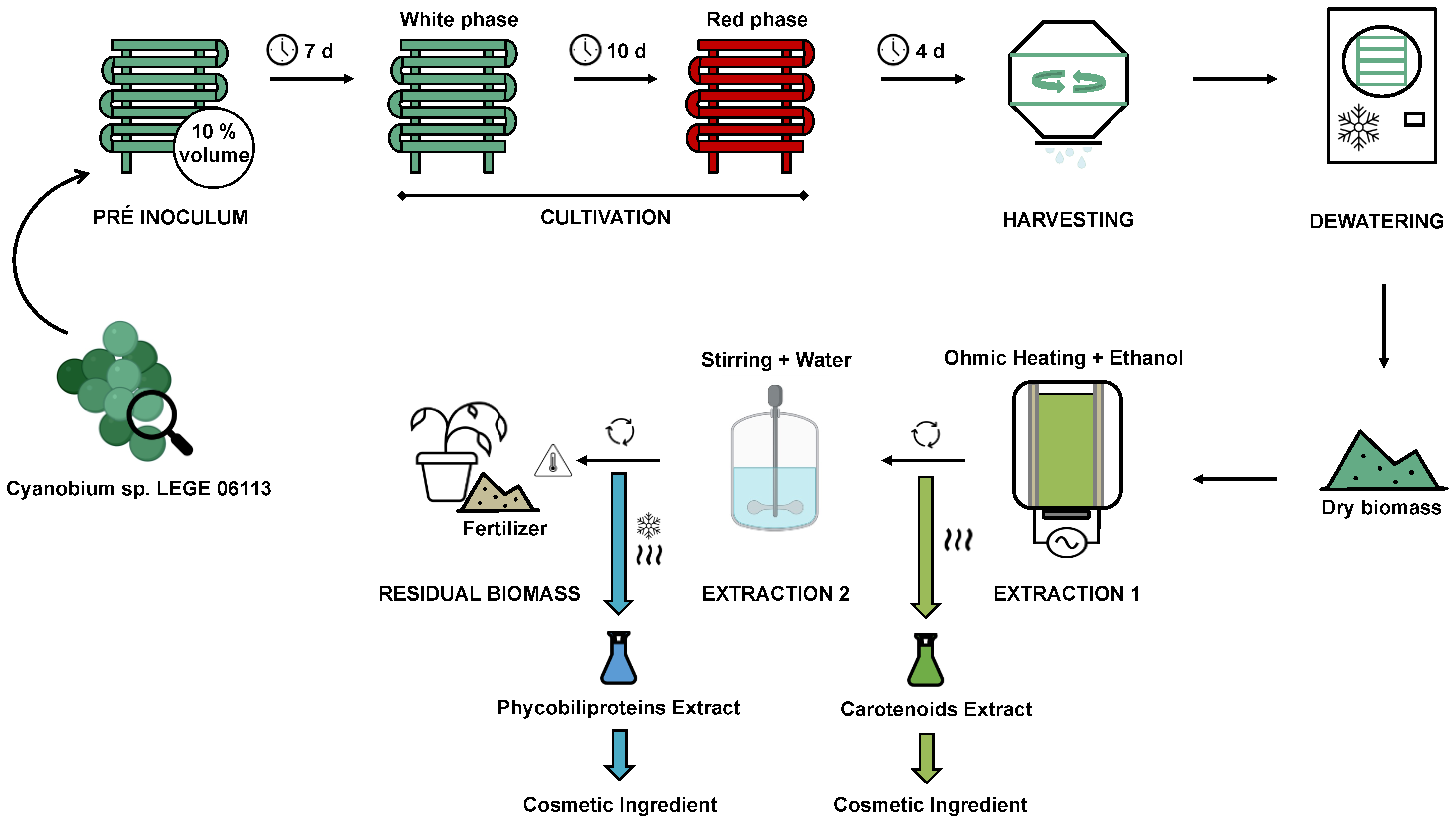 Phycology 03 00004 g003
