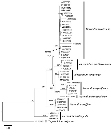 Phycology 03 00006 g005