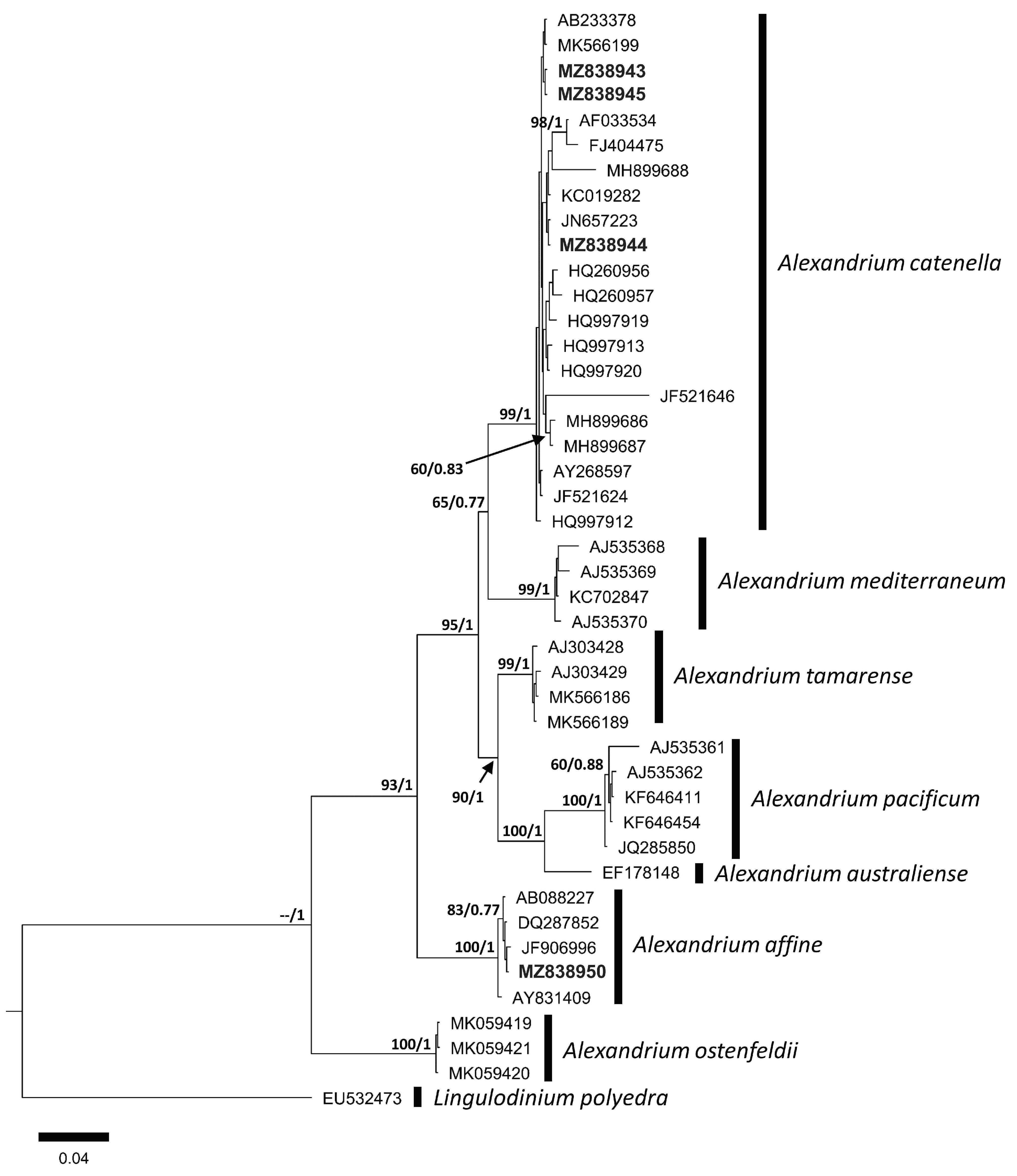 Phycology 03 00006 g005 Phycology 03 00006 g005