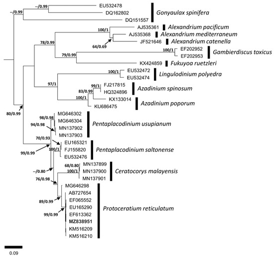 Phycology 03 00006 g006