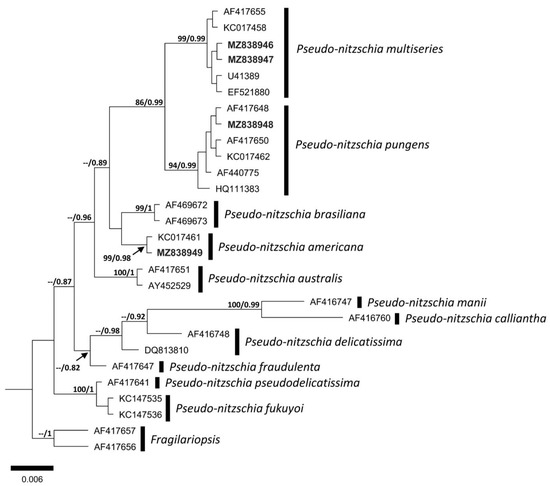 Phycology 03 00006 g007