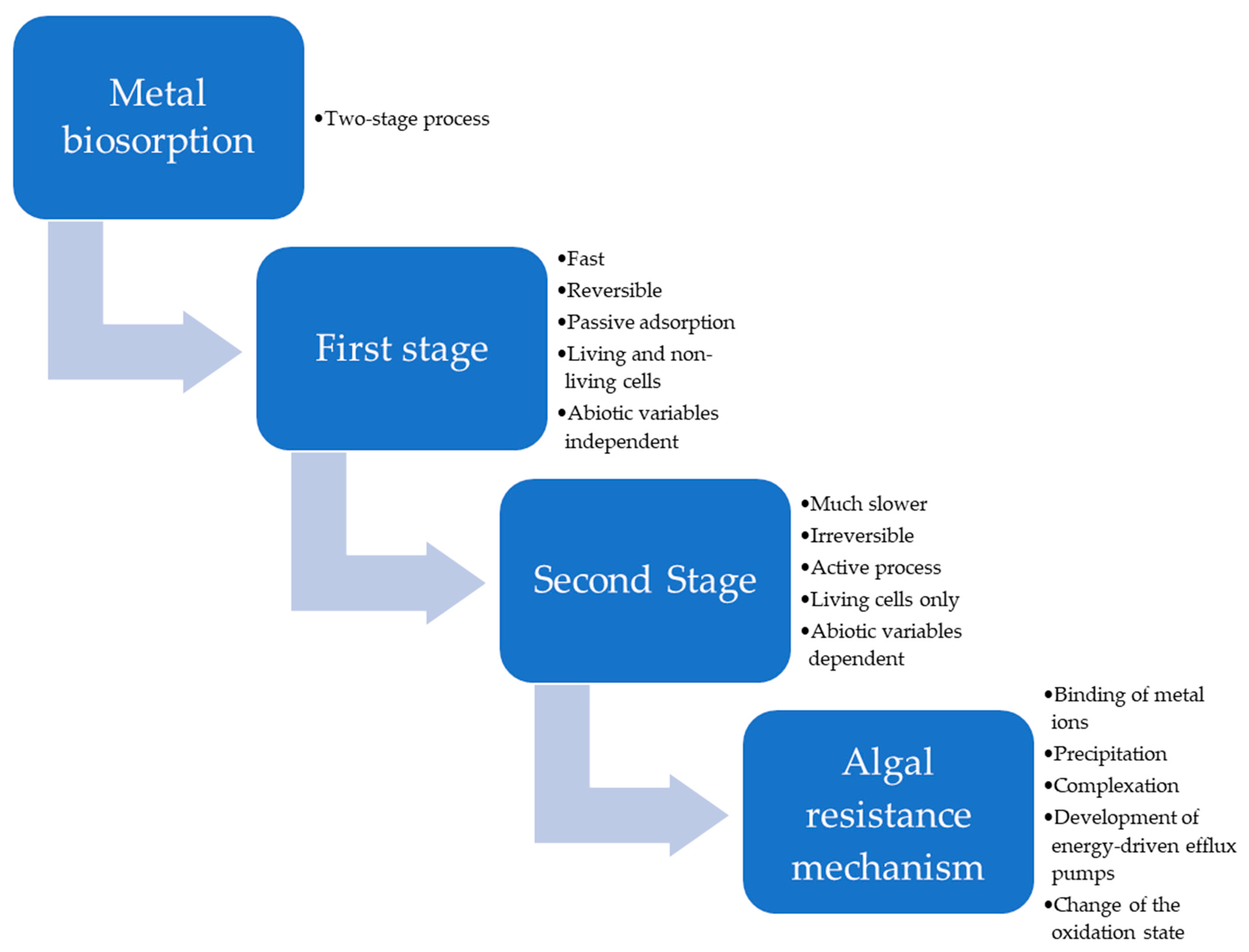 Phycology 03 00012 g002