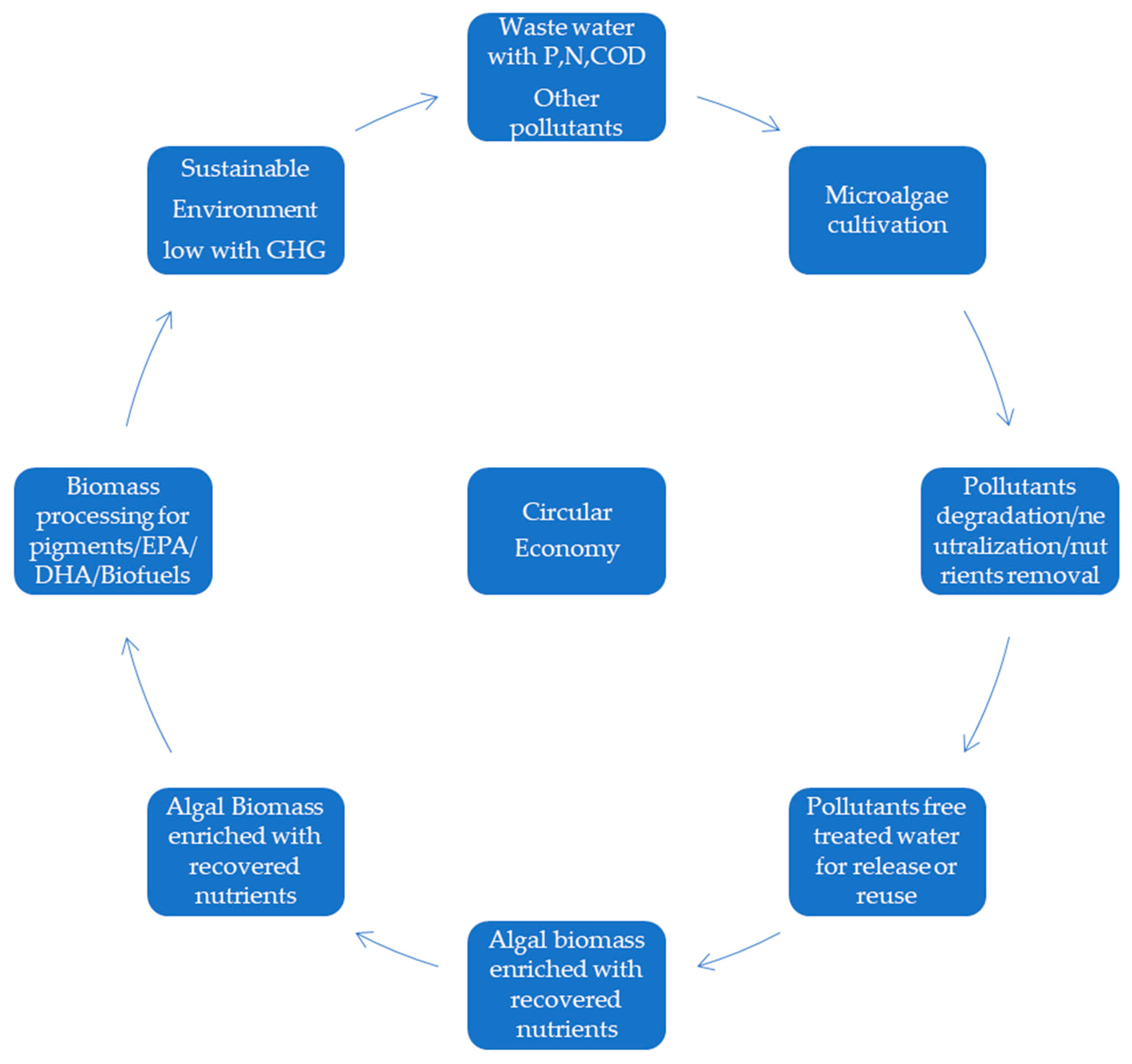 Phycology 03 00012 g003