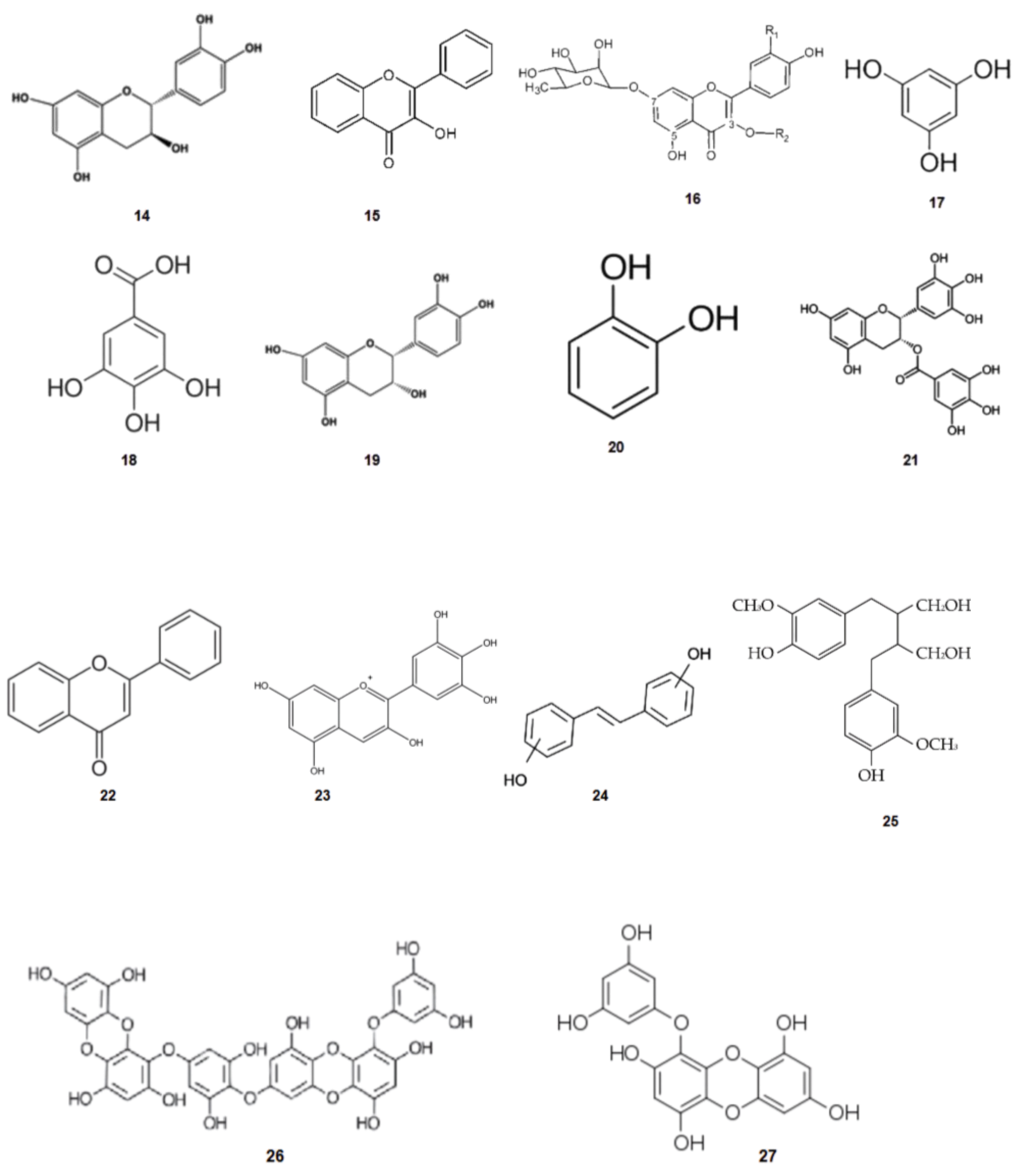 Phycology 03 00014 g004 Phycology 03 00014 g004