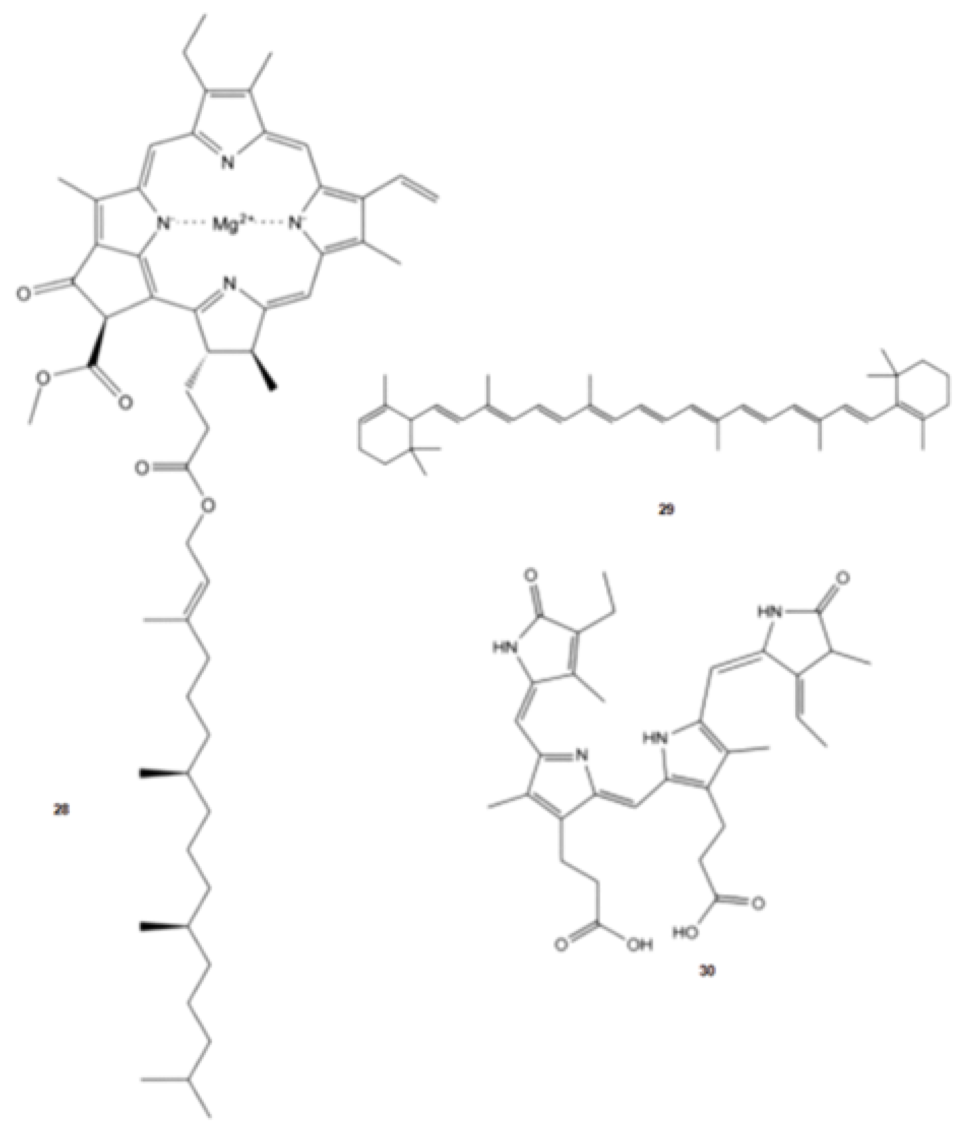 Phycology 03 00014 g005 Phycology 03 00014 g005