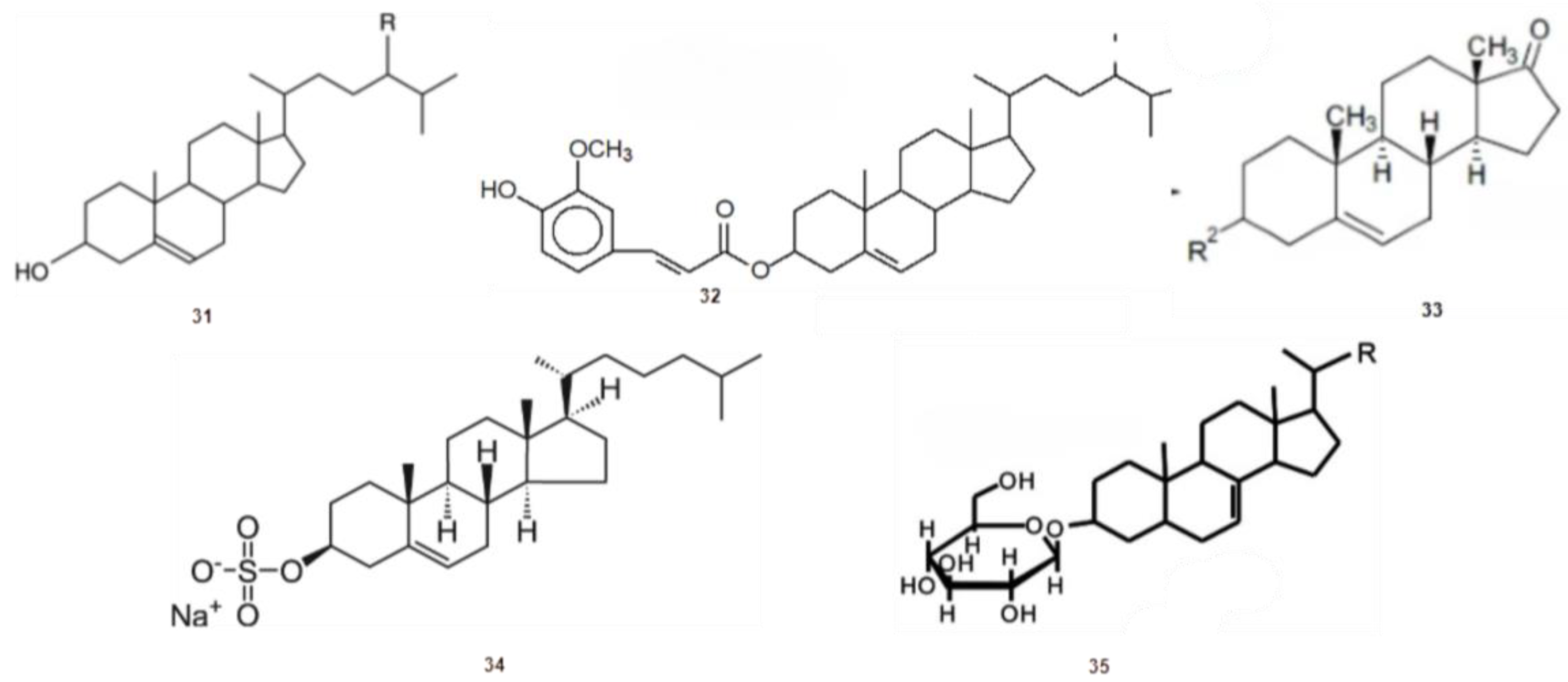 Phycology 03 00014 g006 Phycology 03 00014 g006
