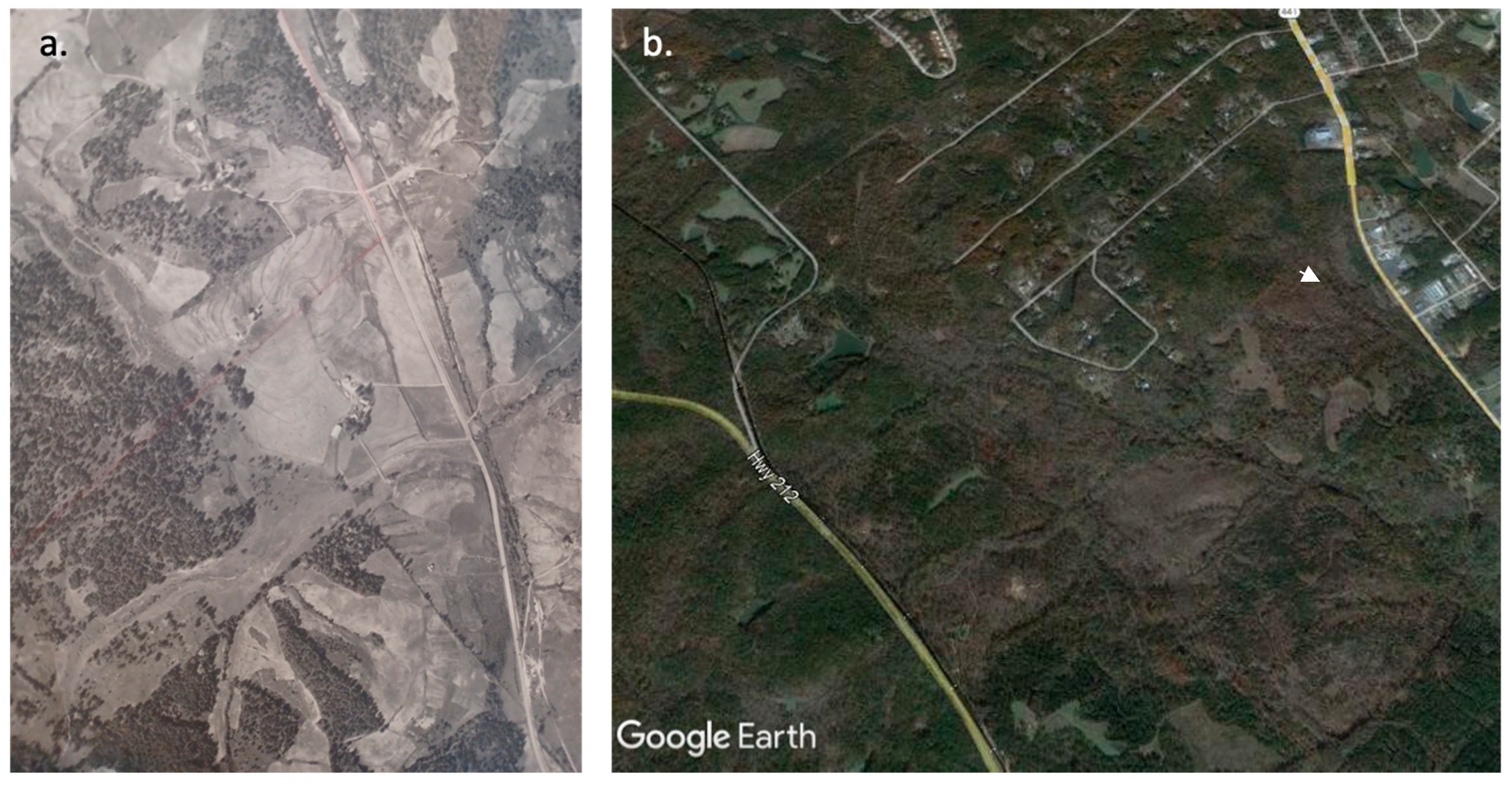 Phycology 03 00019 g002