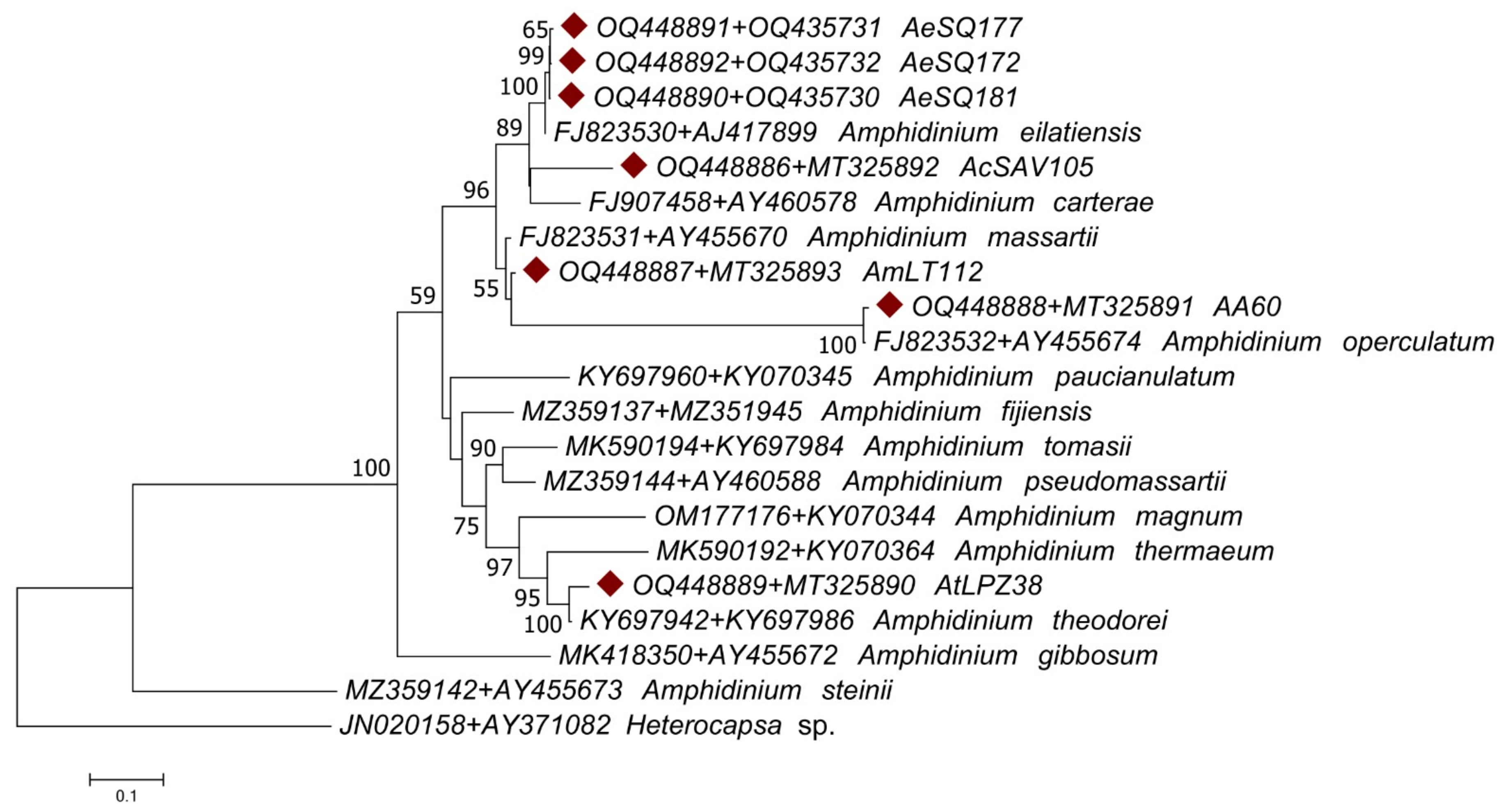 Phycology 03 00020 g007