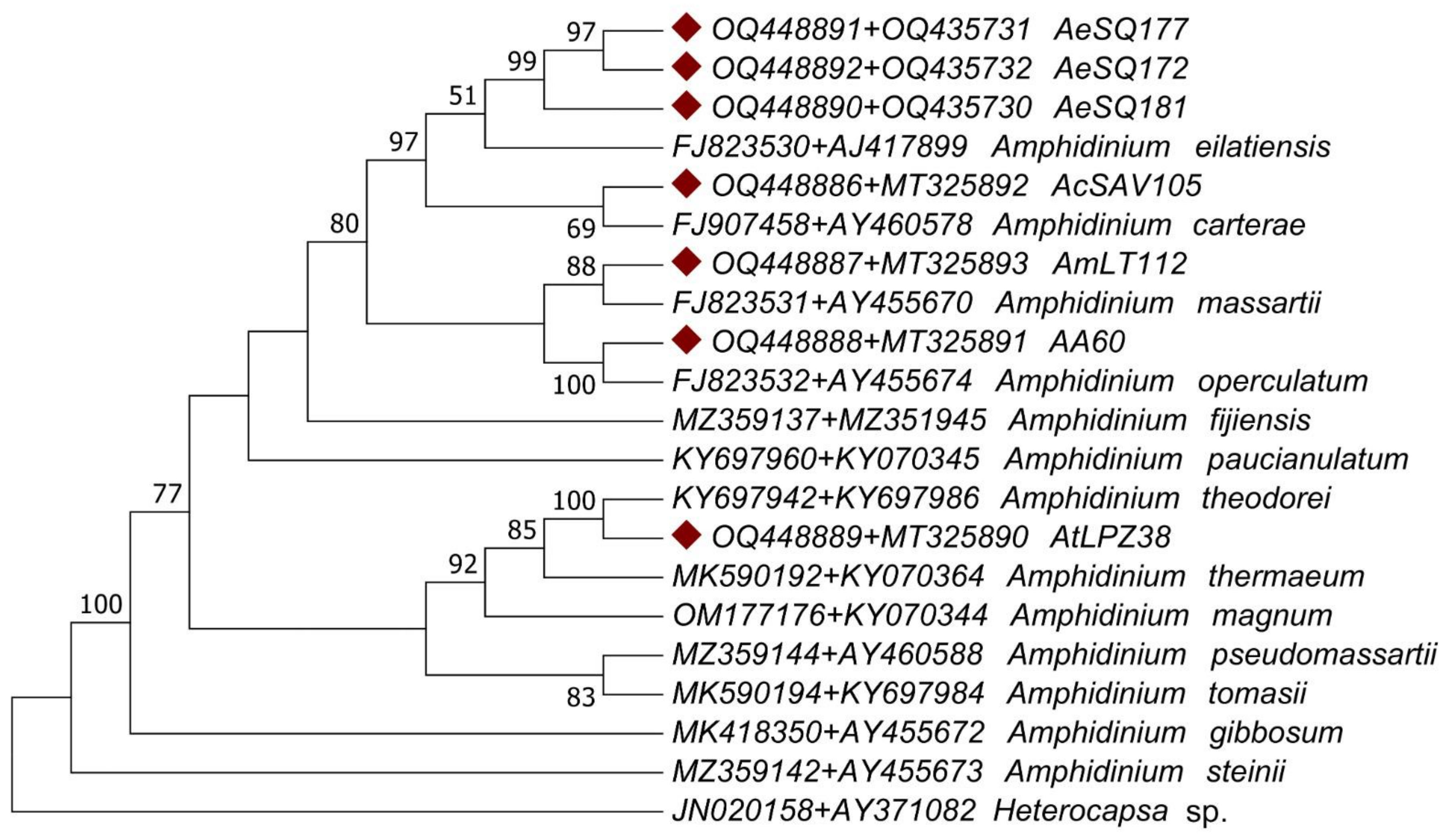 Phycology 03 00020 g008