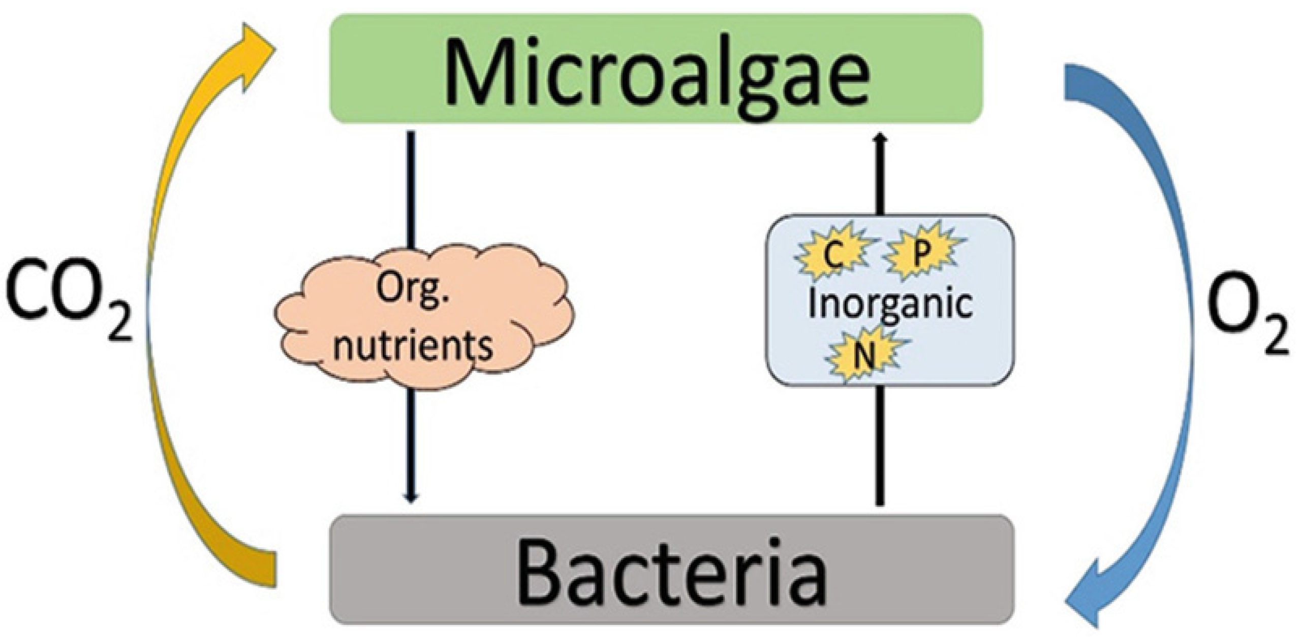 Phycology 03 00031 g001 Phycology 03 00031 g001