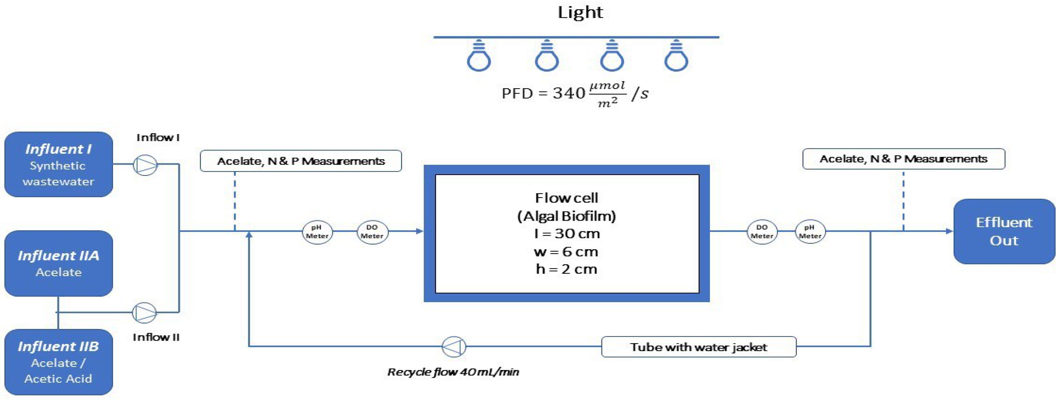 Phycology 03 00031 g002 Phycology 03 00031 g002