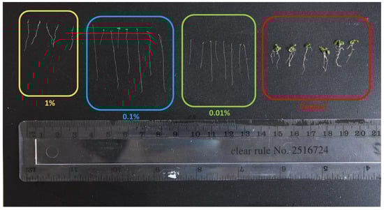 Phycology 04 00003 g0a2