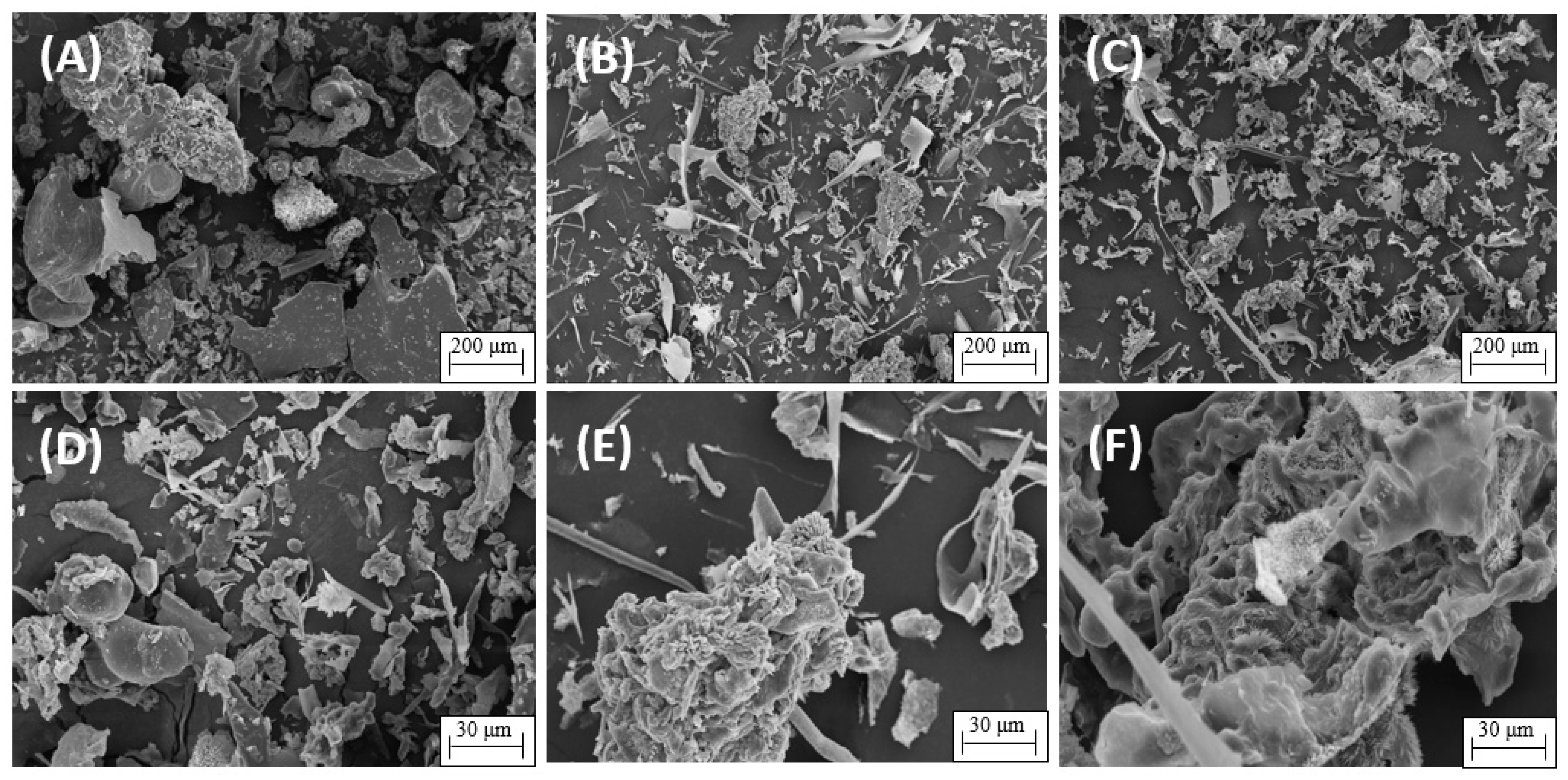 Phycology 04 00005 g005
