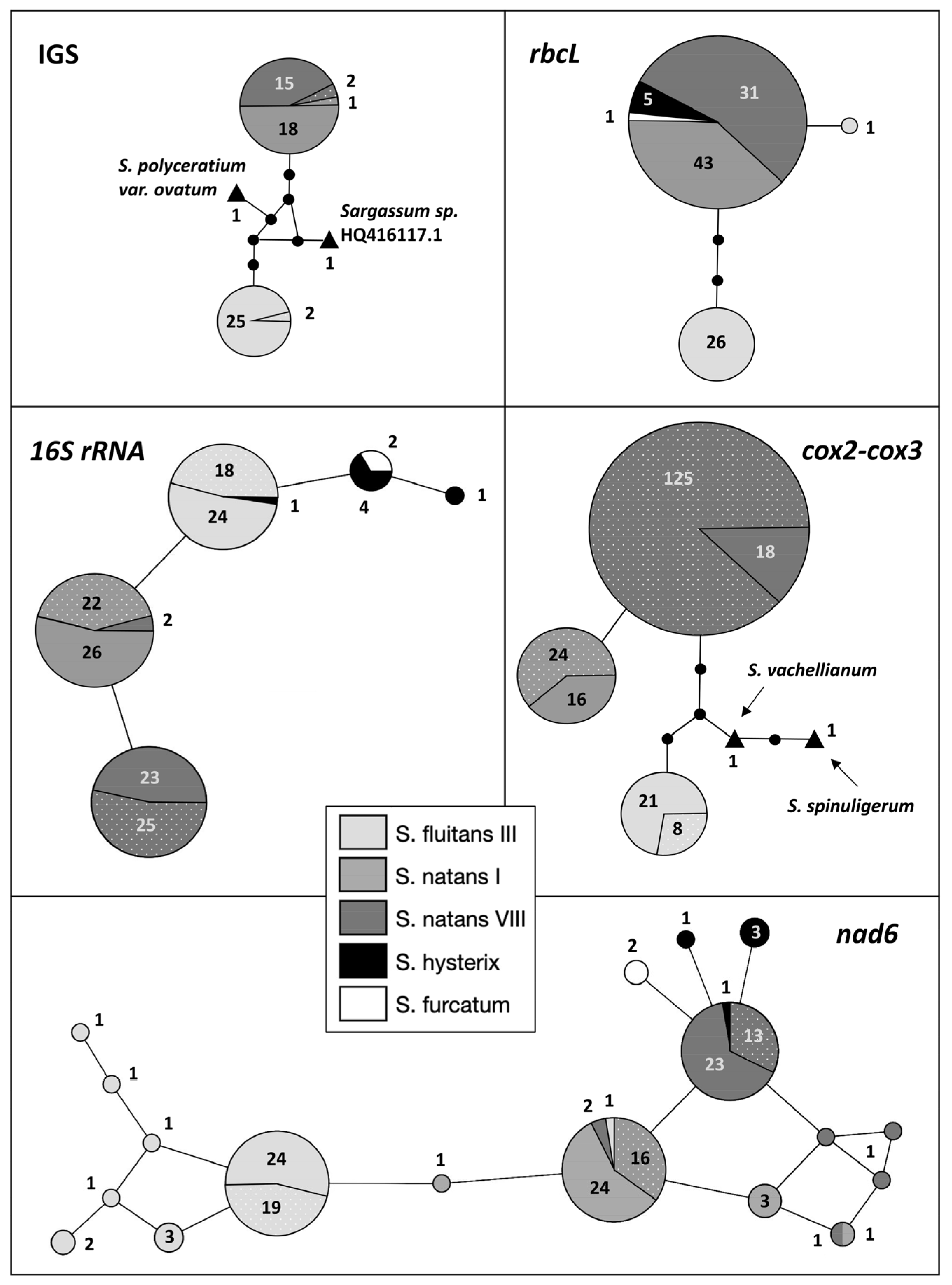 Phycology 04 00014 g006