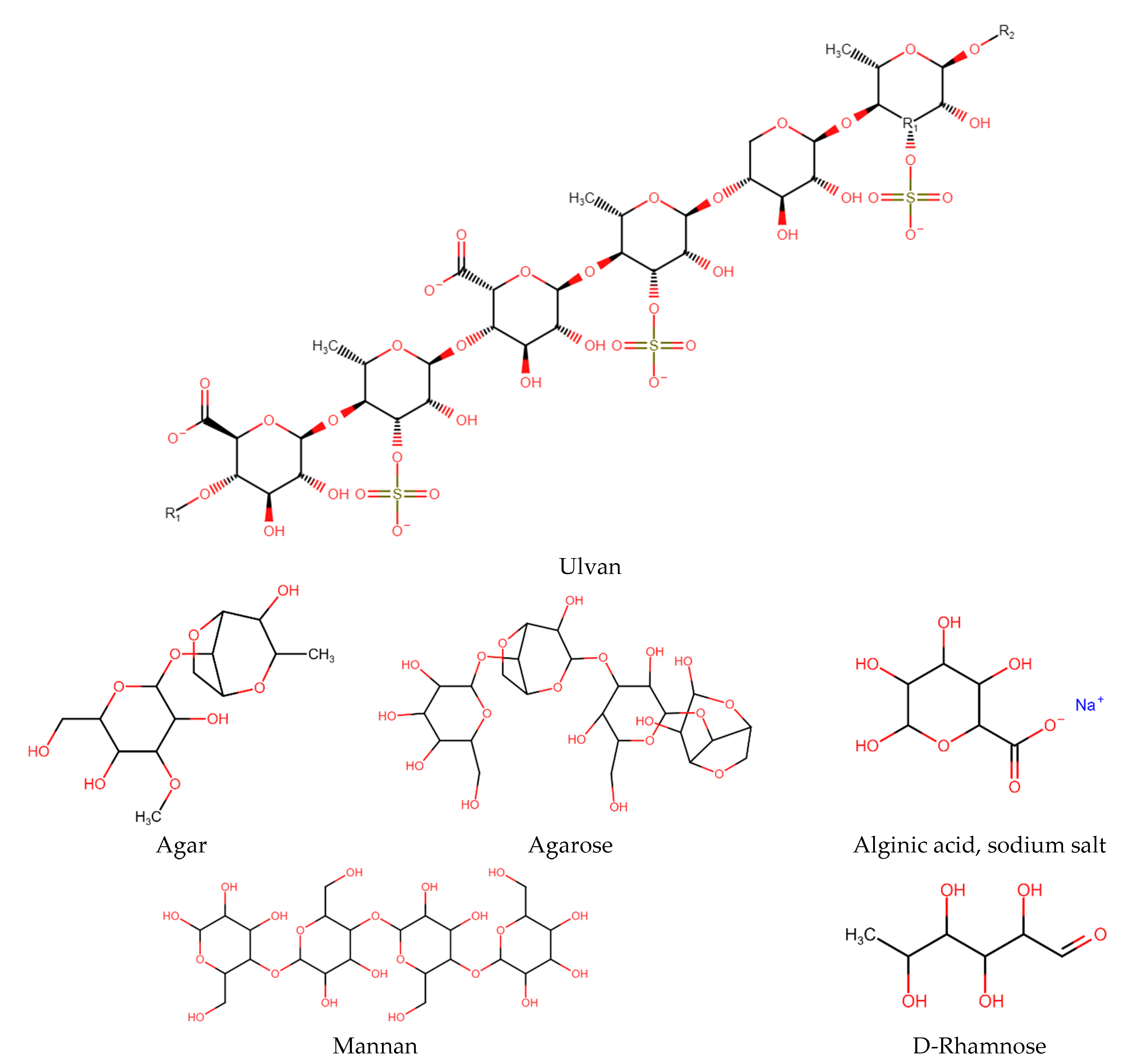 Phycology 04 00015 g001b