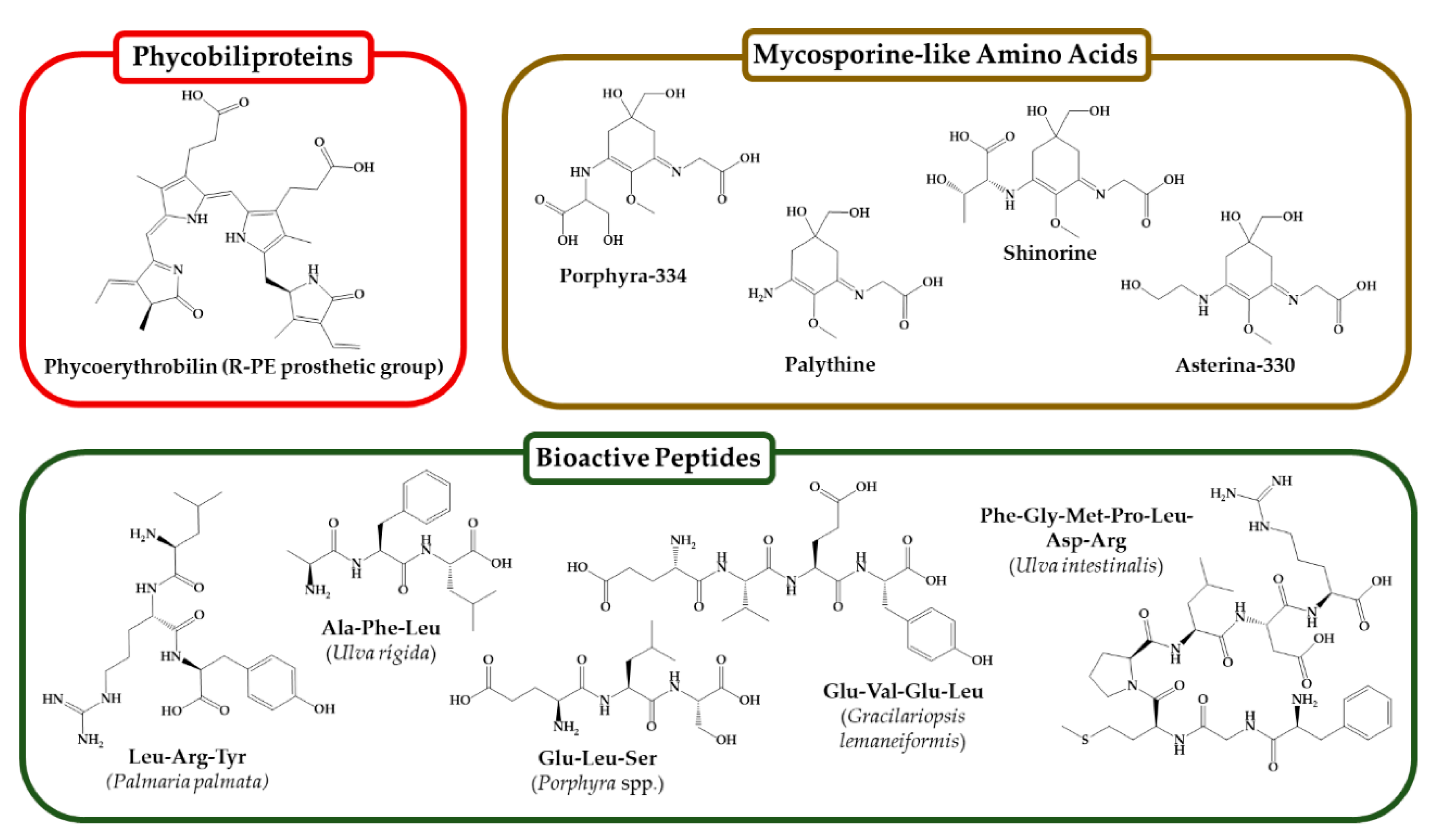 Phycology 04 00015 g003