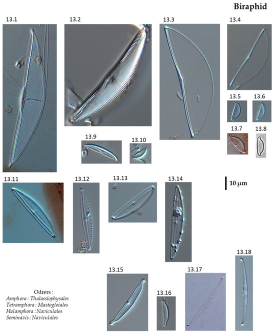 Phycology 04 00027 g0a13