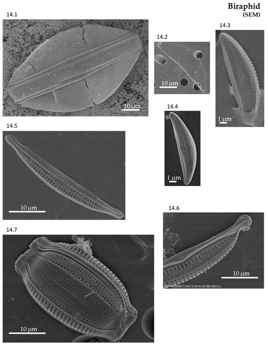 Phycology 04 00027 g0a14