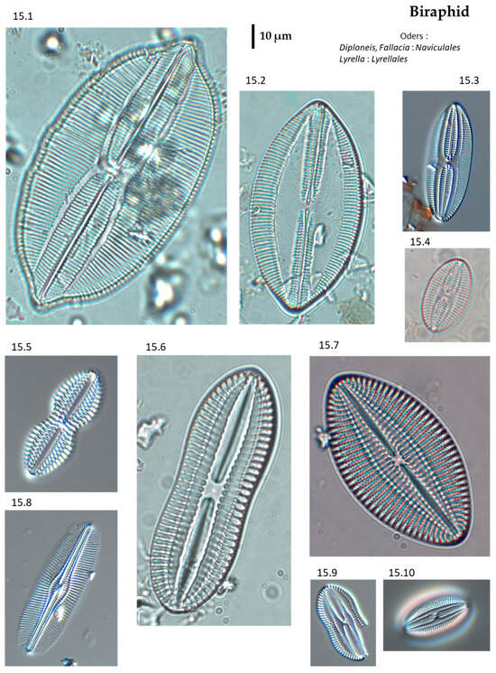 Phycology 04 00027 g0a15
