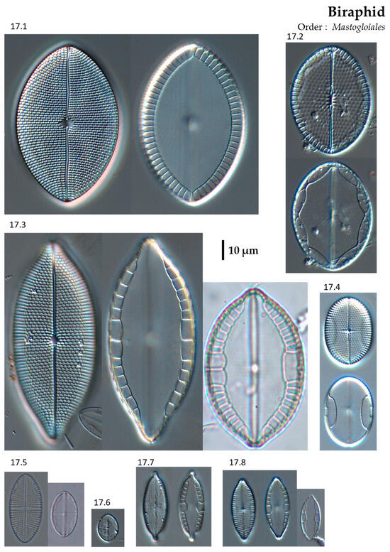 Phycology 04 00027 g0a17