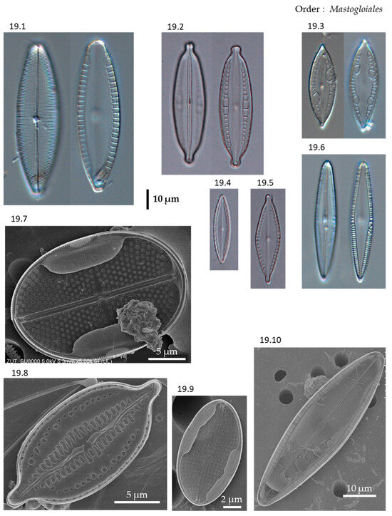 Phycology 04 00027 g0a19