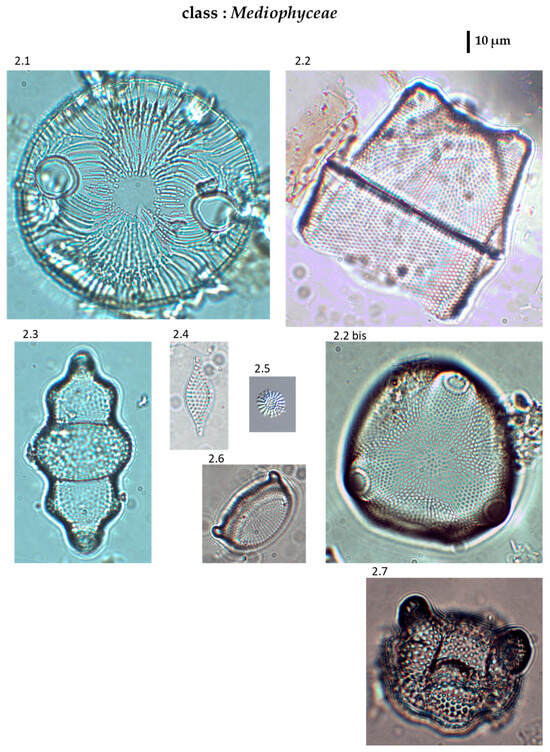 Phycology 04 00027 g0a2