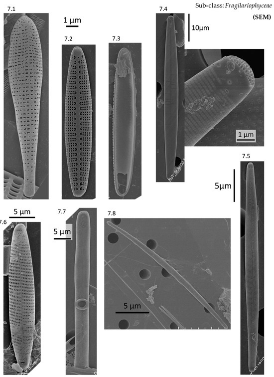 Phycology 04 00027 g0a7