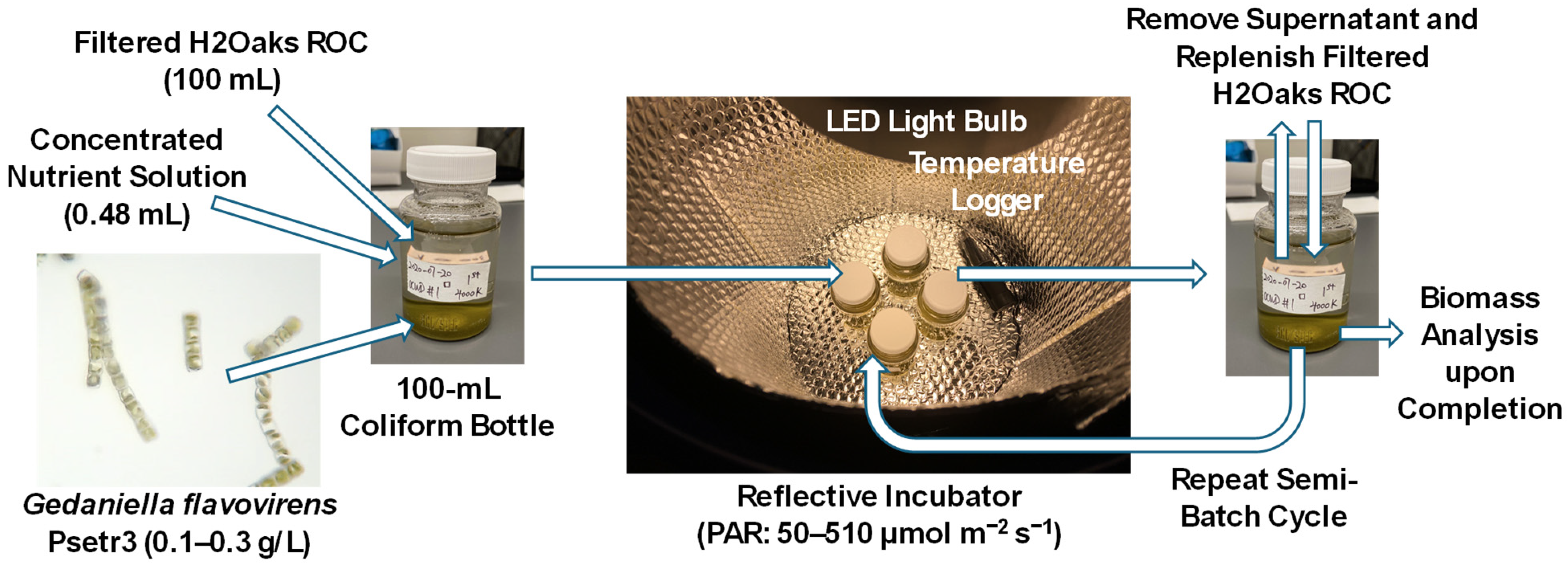 Phycology 05 00003 g001