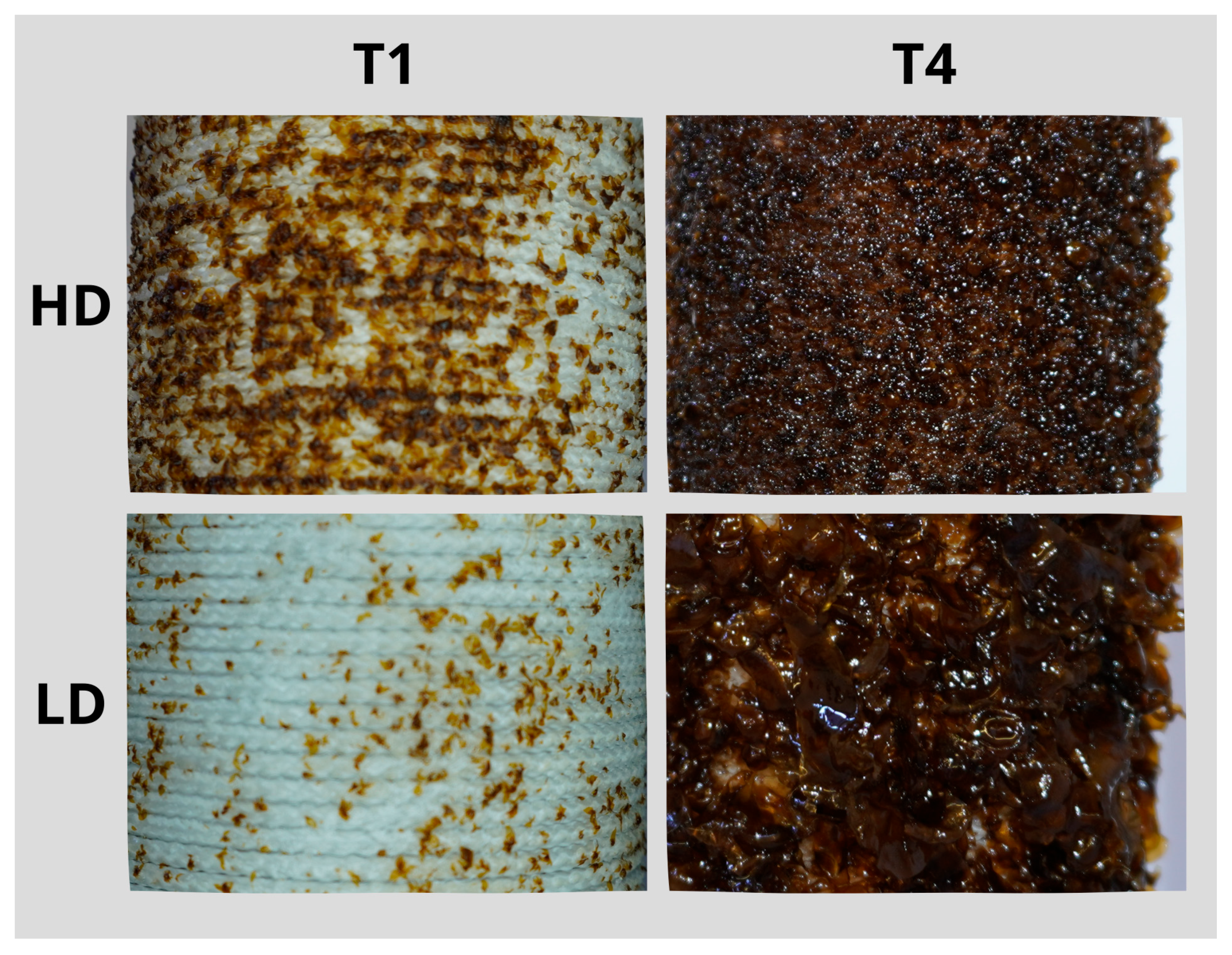 Phycology 05 00005 g004
