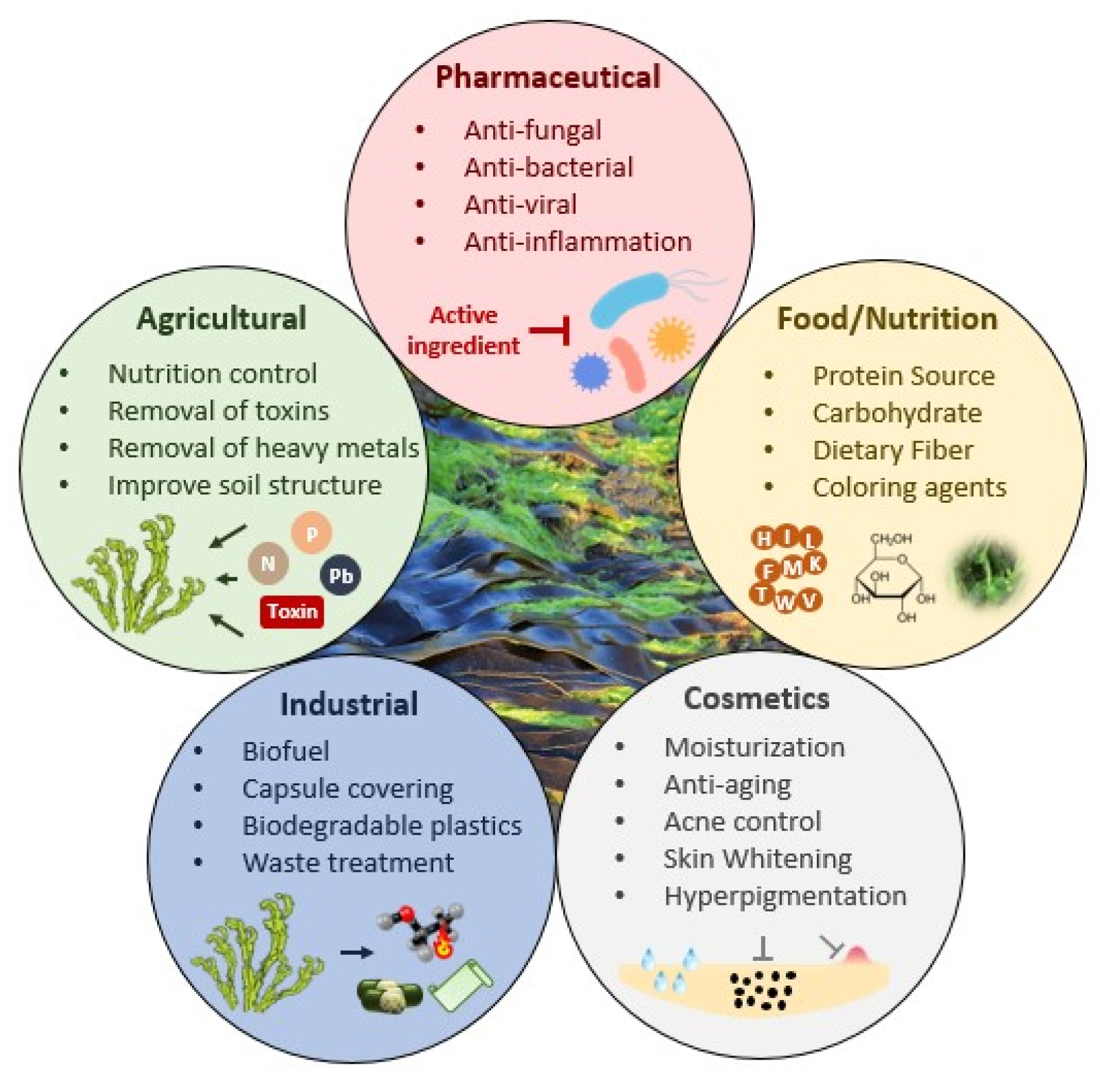 Phycology 05 00010 g001