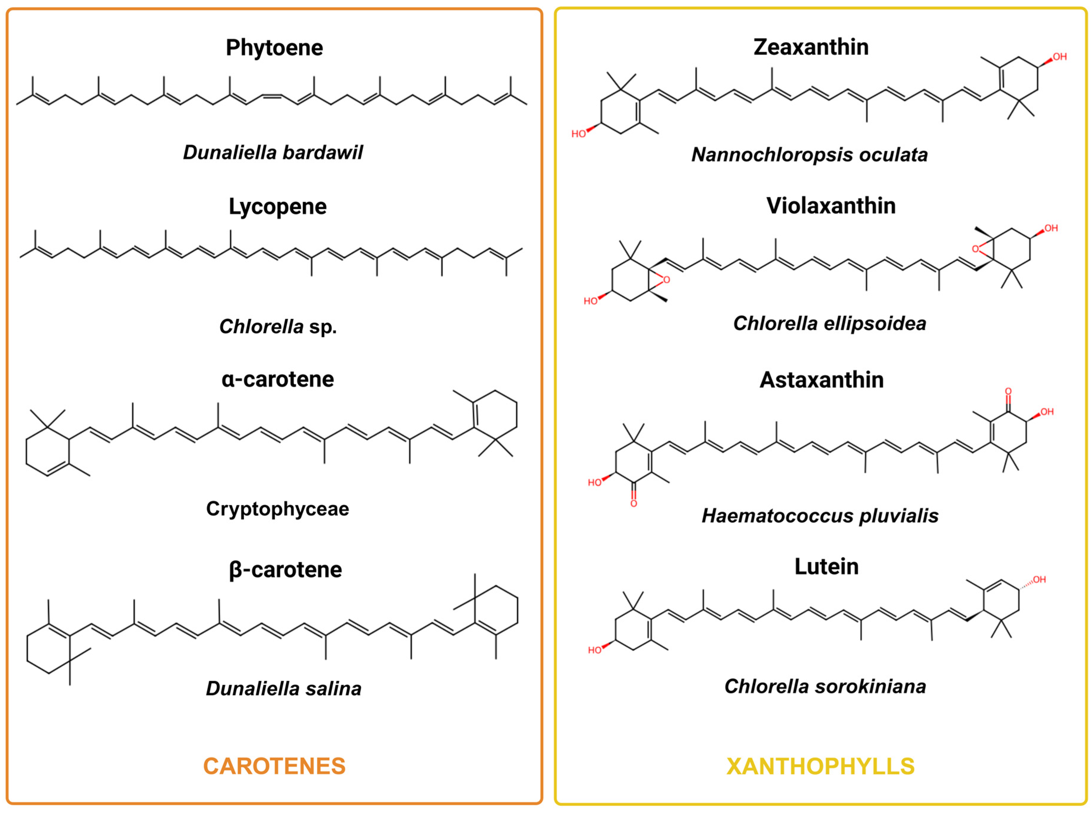 Phycology 05 00019 g004